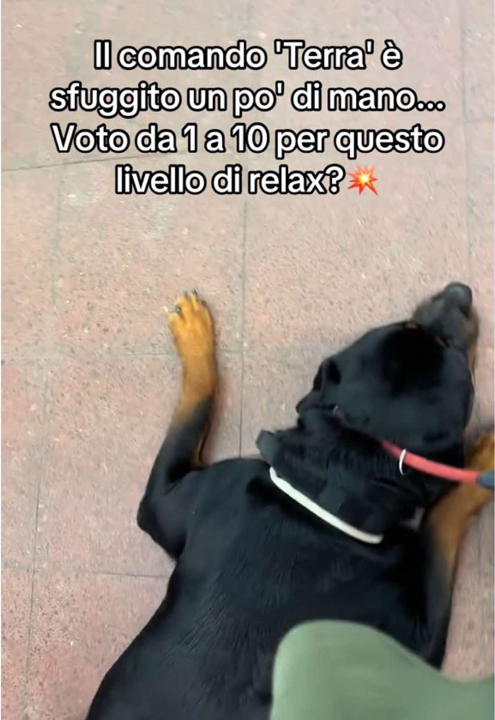 @Le avventure di Thor 🌪️ w ❤️