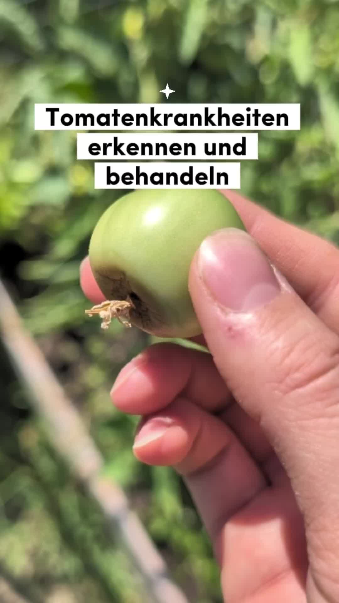 @ErnteExperte