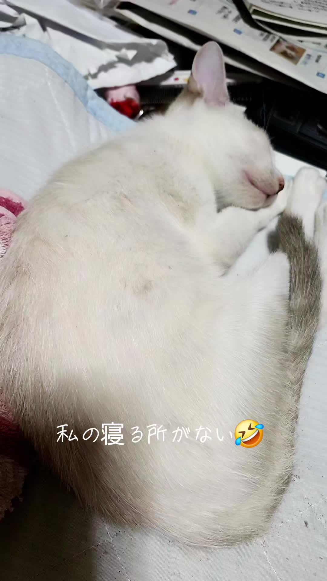 @宮尾美江