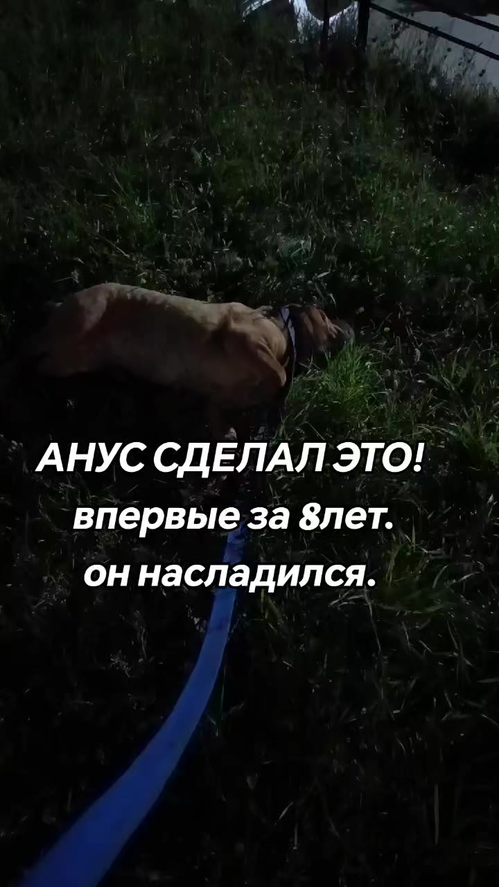 @amusleninblyadina
