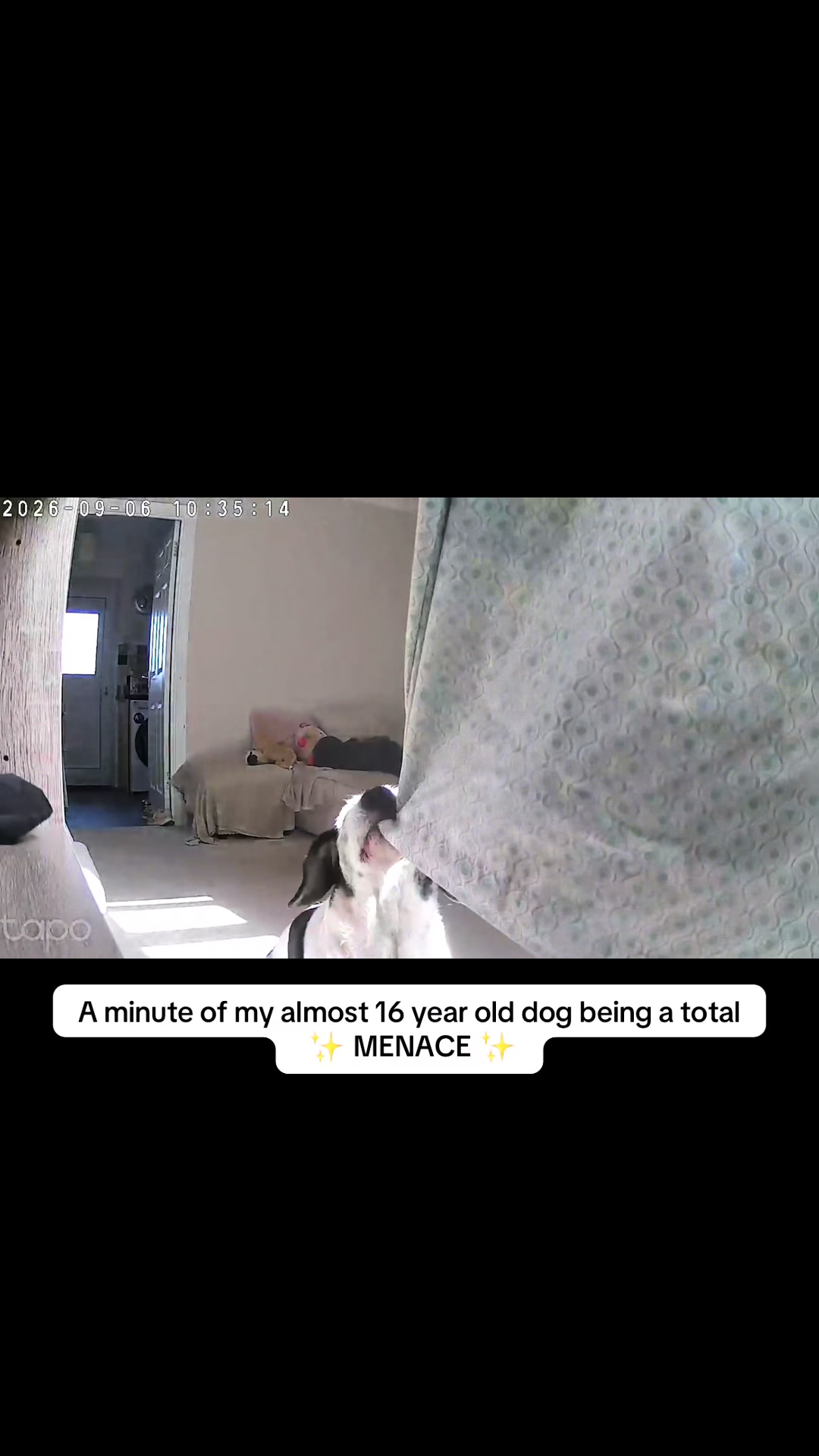 @jodiehenley