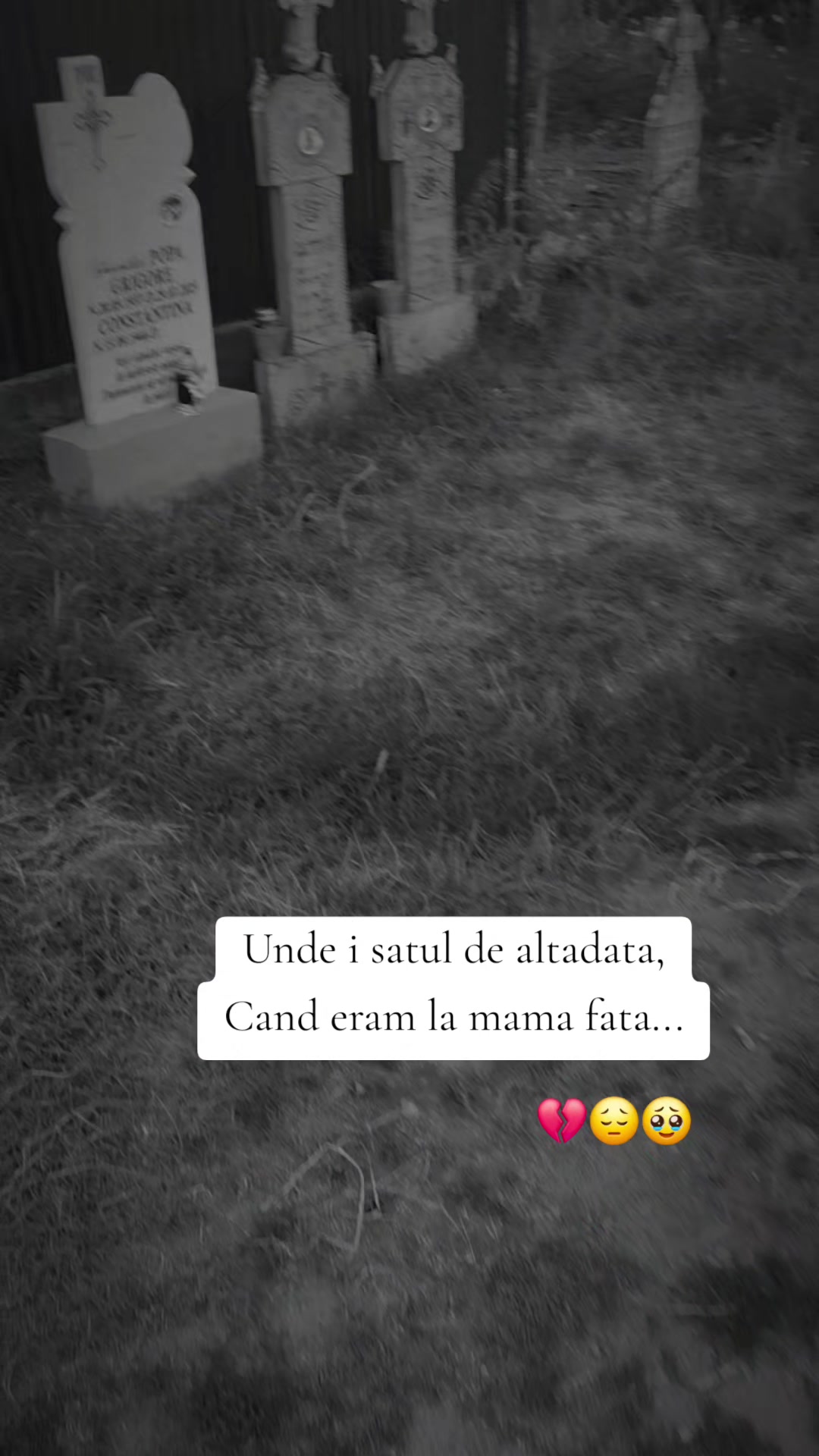 @Cătălina 👑