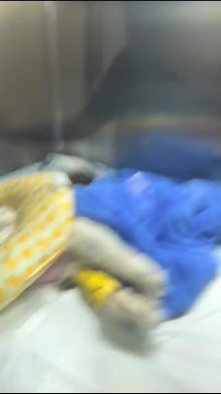 @Community_Animal_Rescue