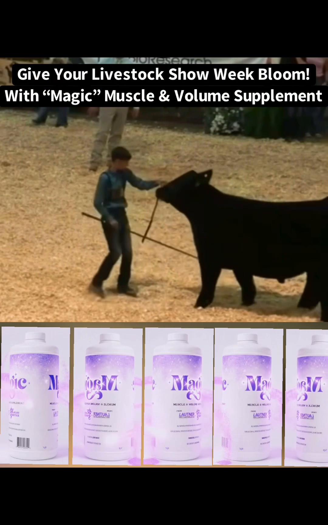 @Matt Lautner Cattle USA