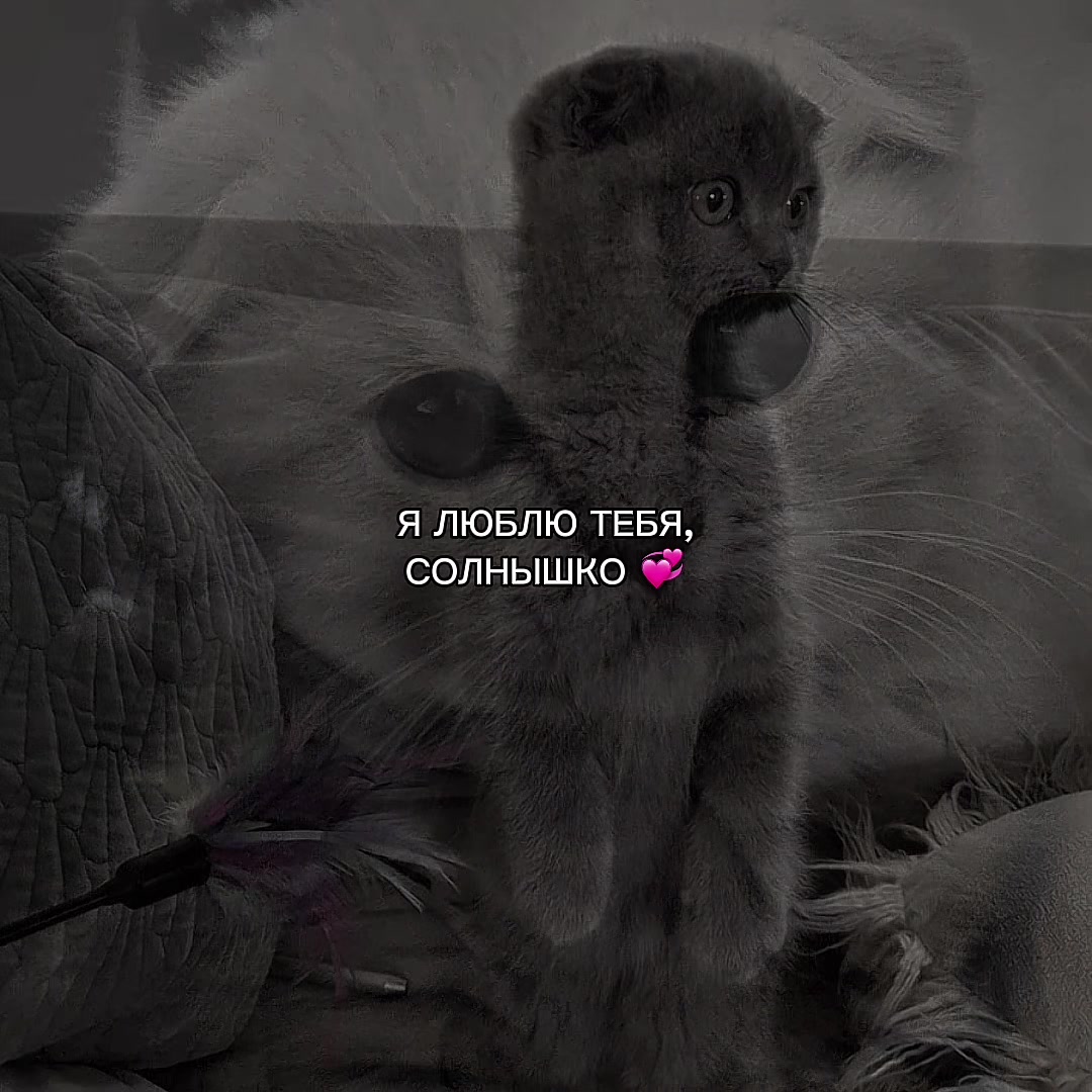 @ХХИКА