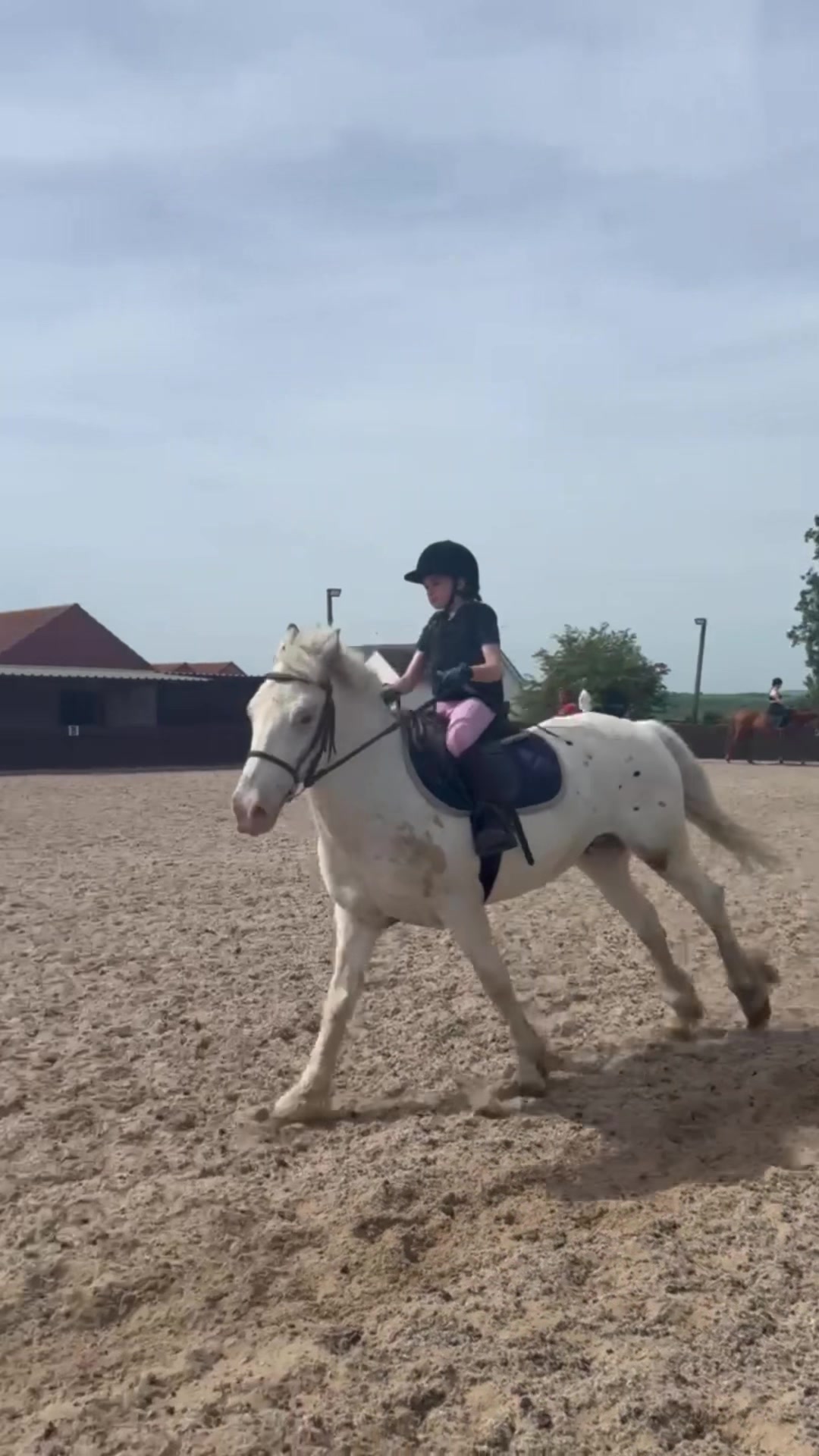 @LottiesHorseAdventures🦄🐴
