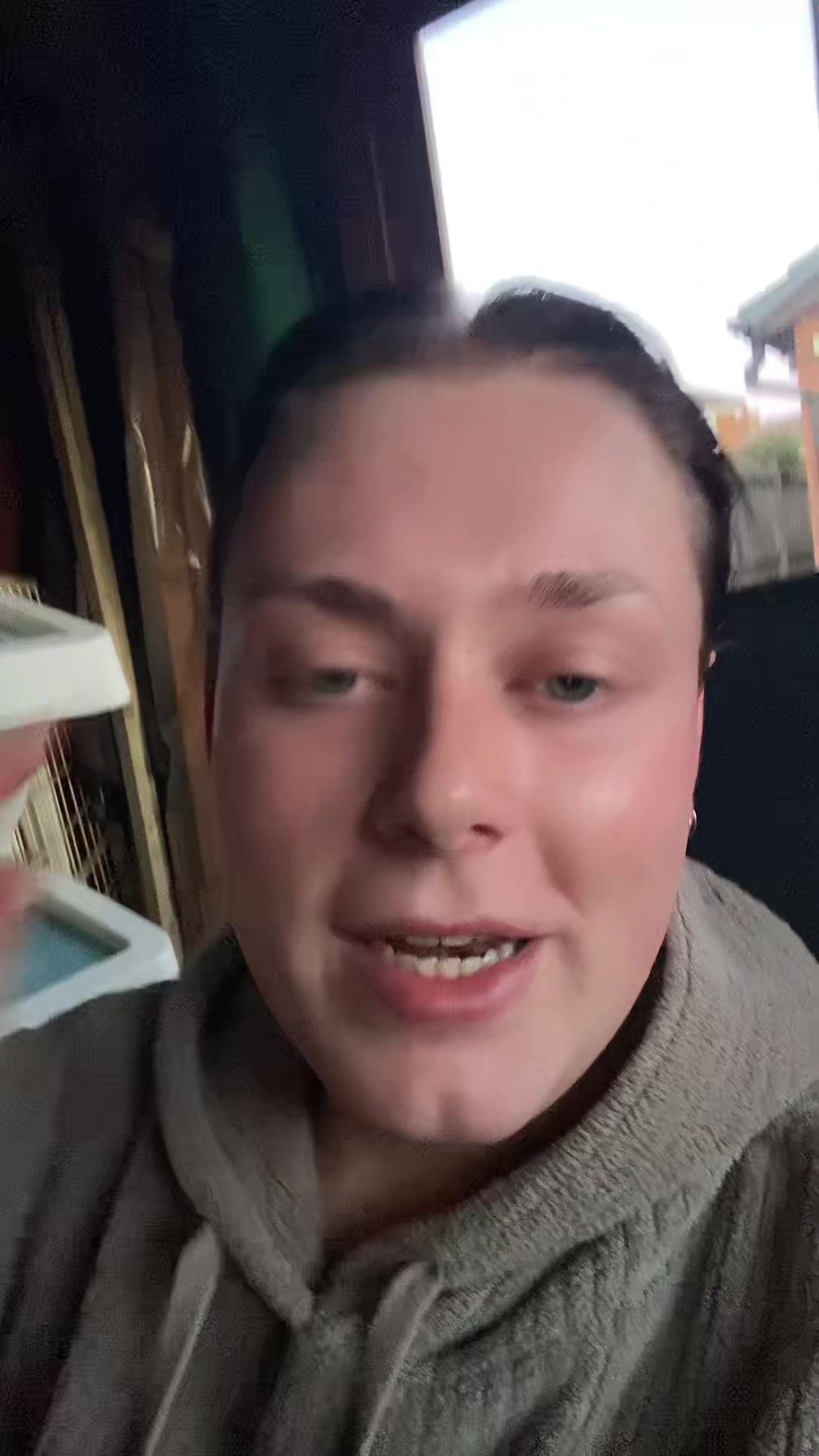 @knoxthefoxx