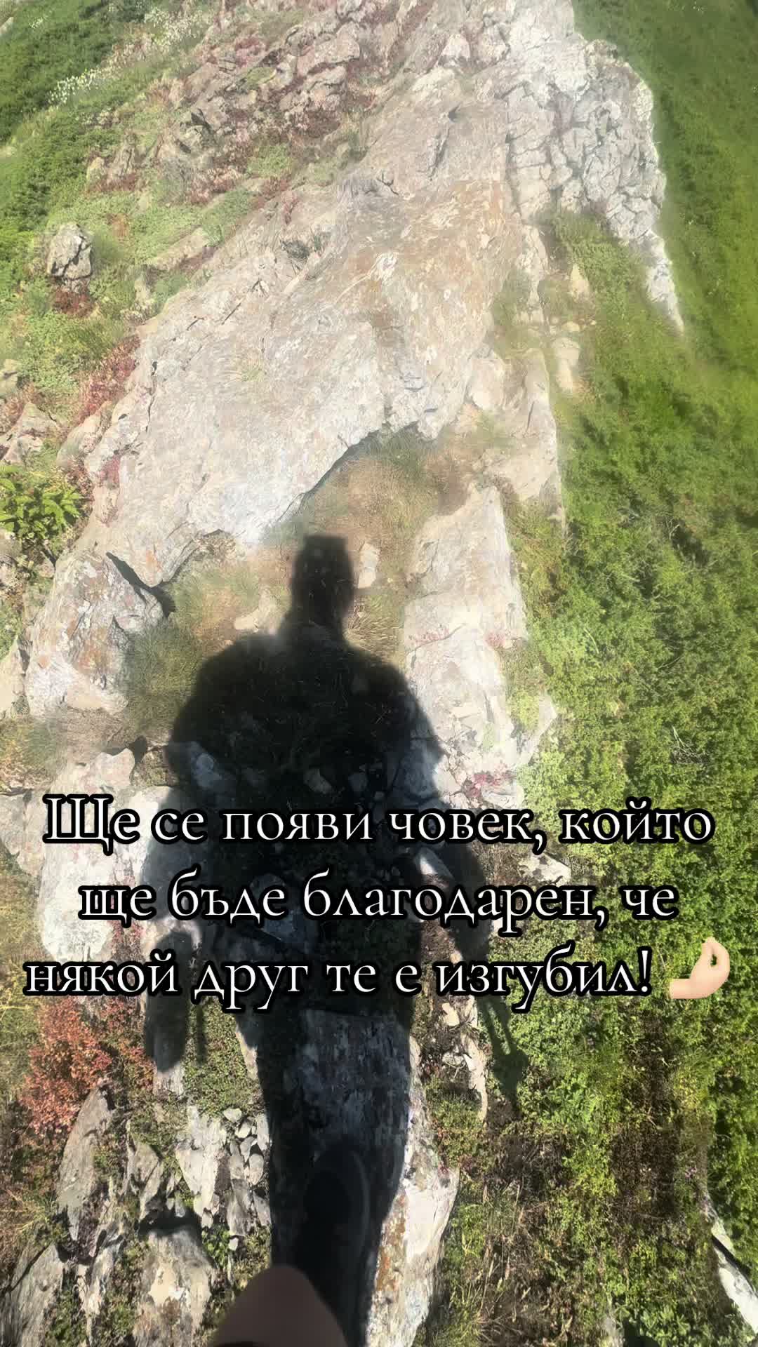 @TihomirD