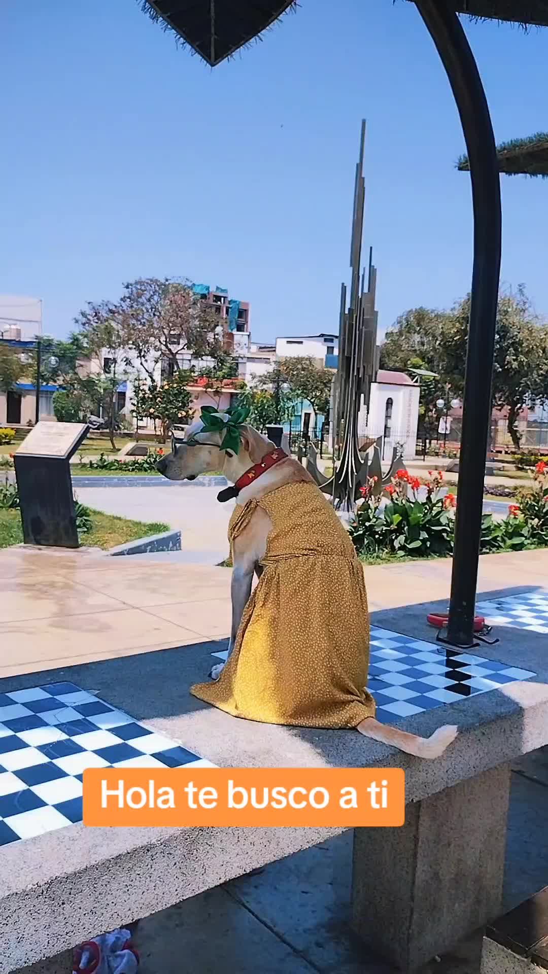 @winnie ❤🦮