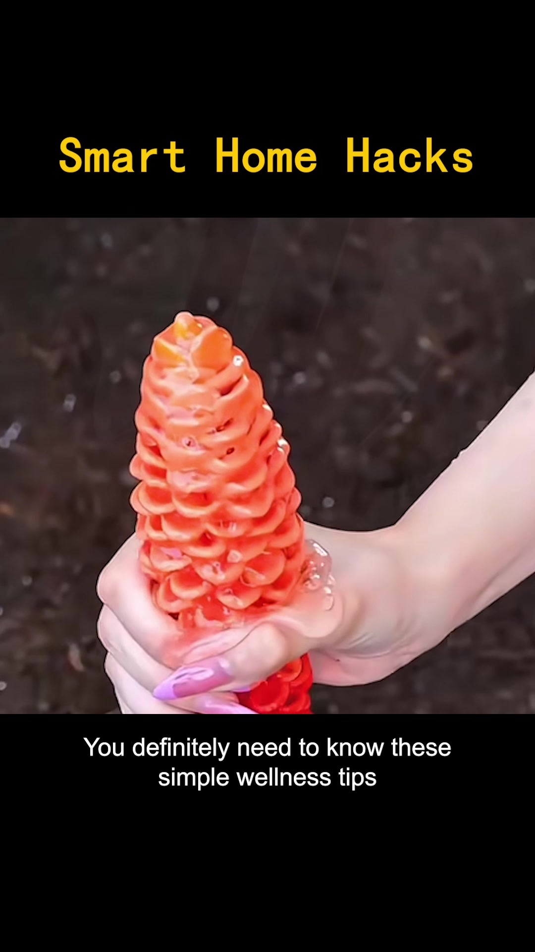 @lordlyhaye