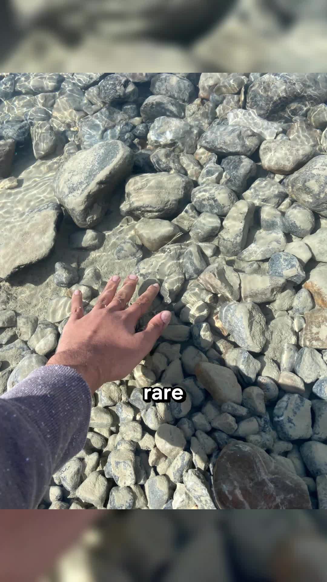 @OddlyAmazing
