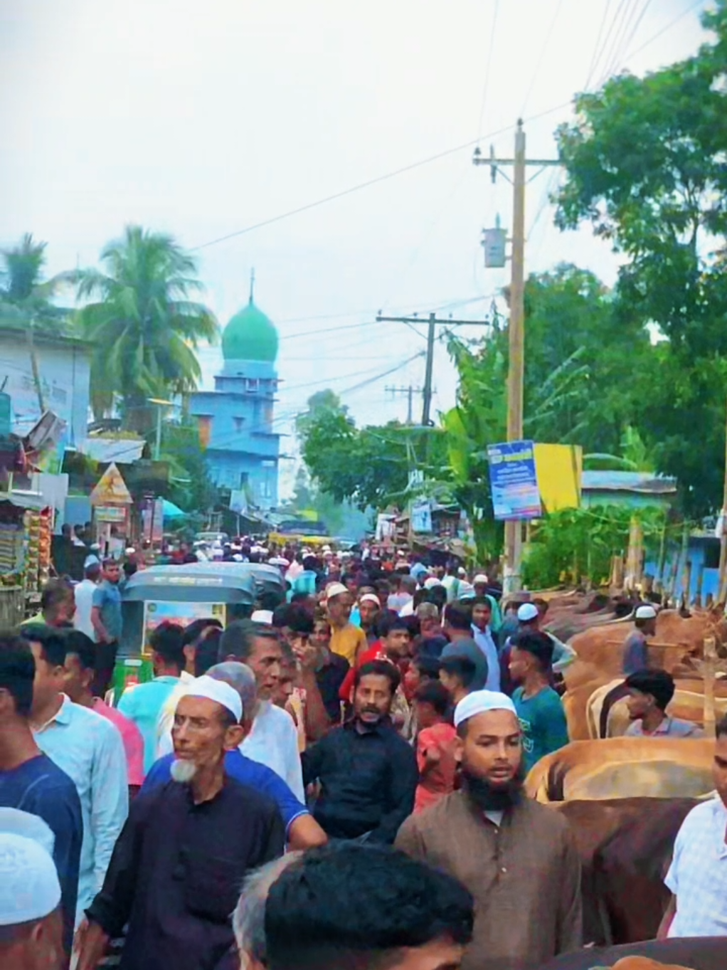 @ব্যর্থ জীবন!