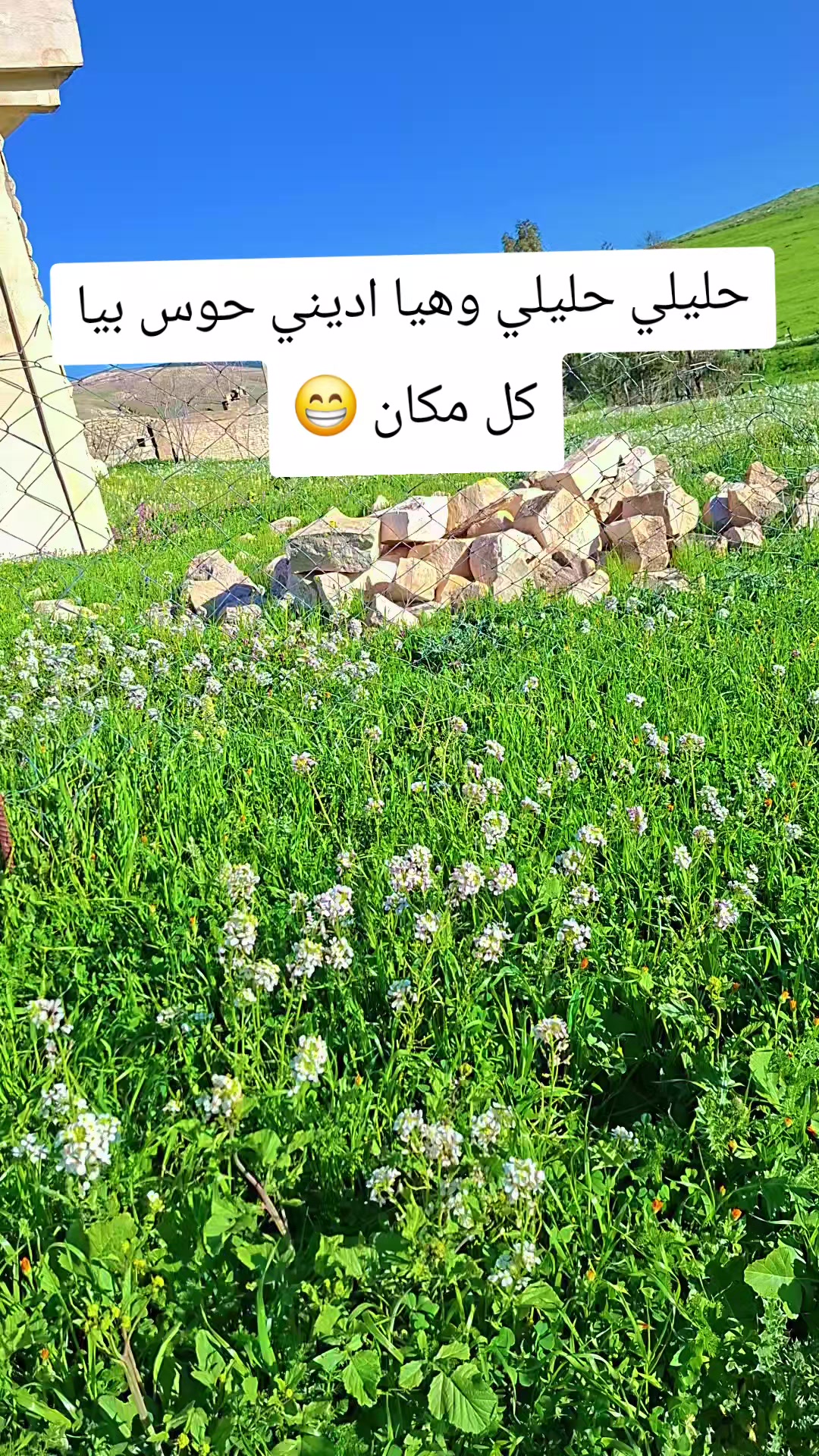 @🍓أم أسيد 🍓kheld