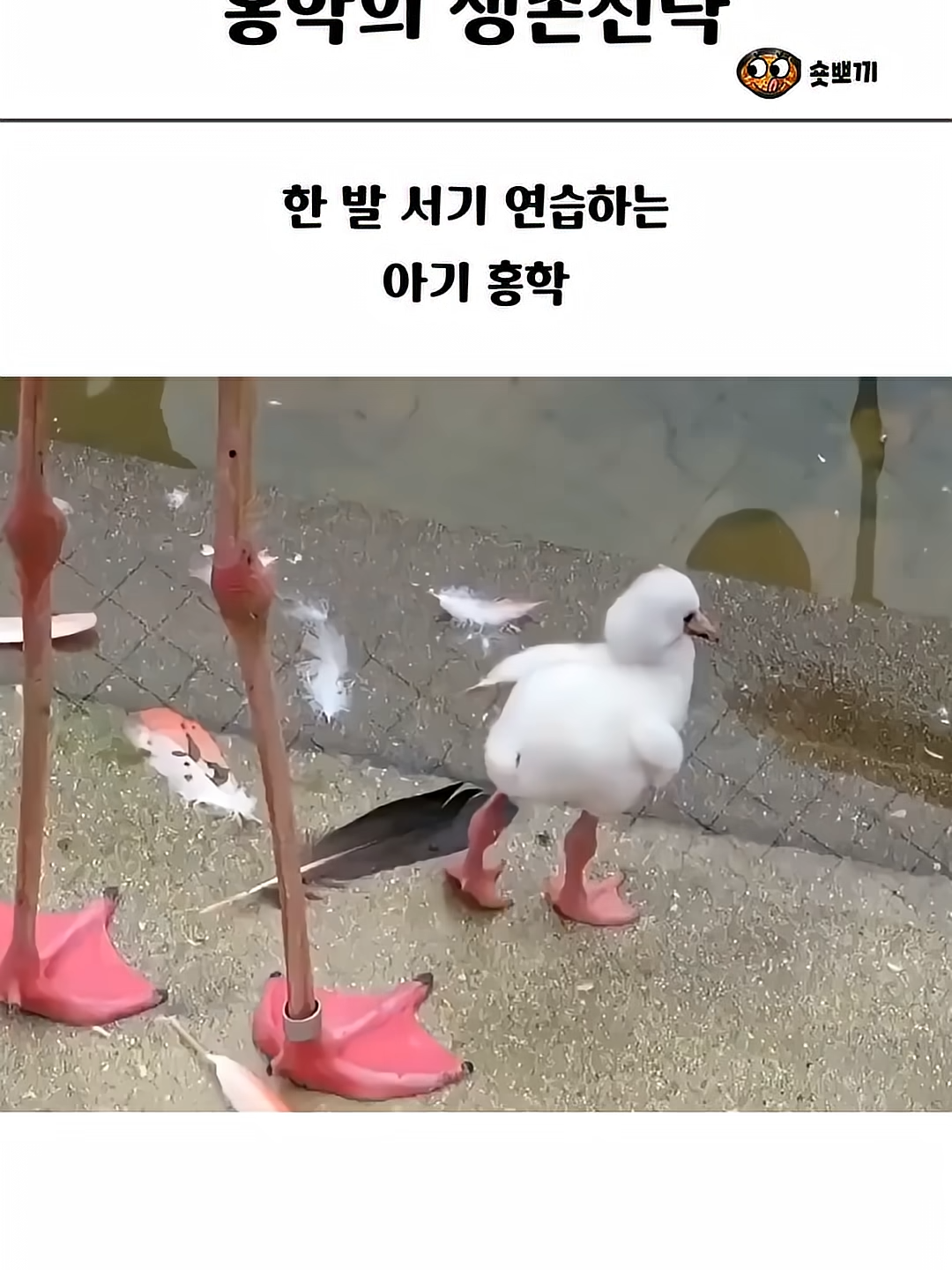 @김땡컨