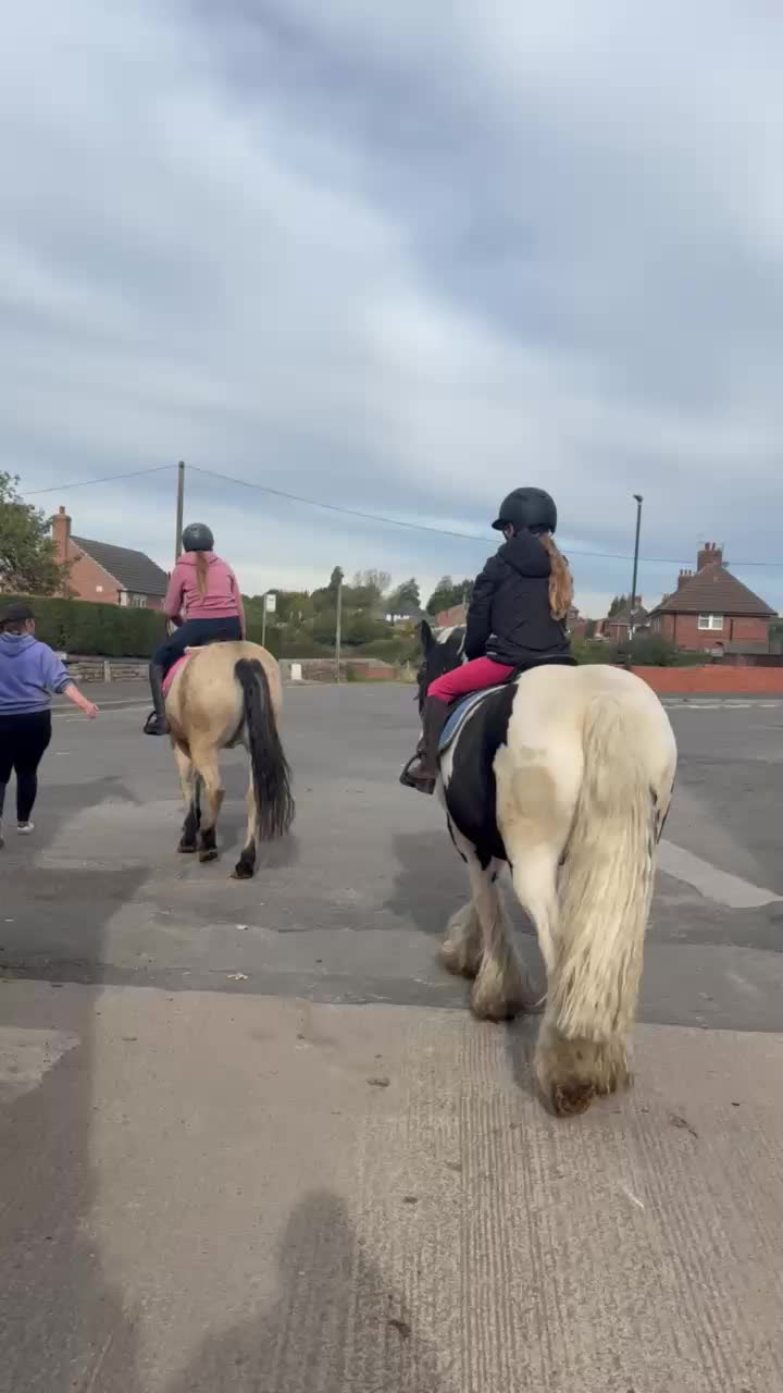 @LottiesHorseAdventures🦄🐴
