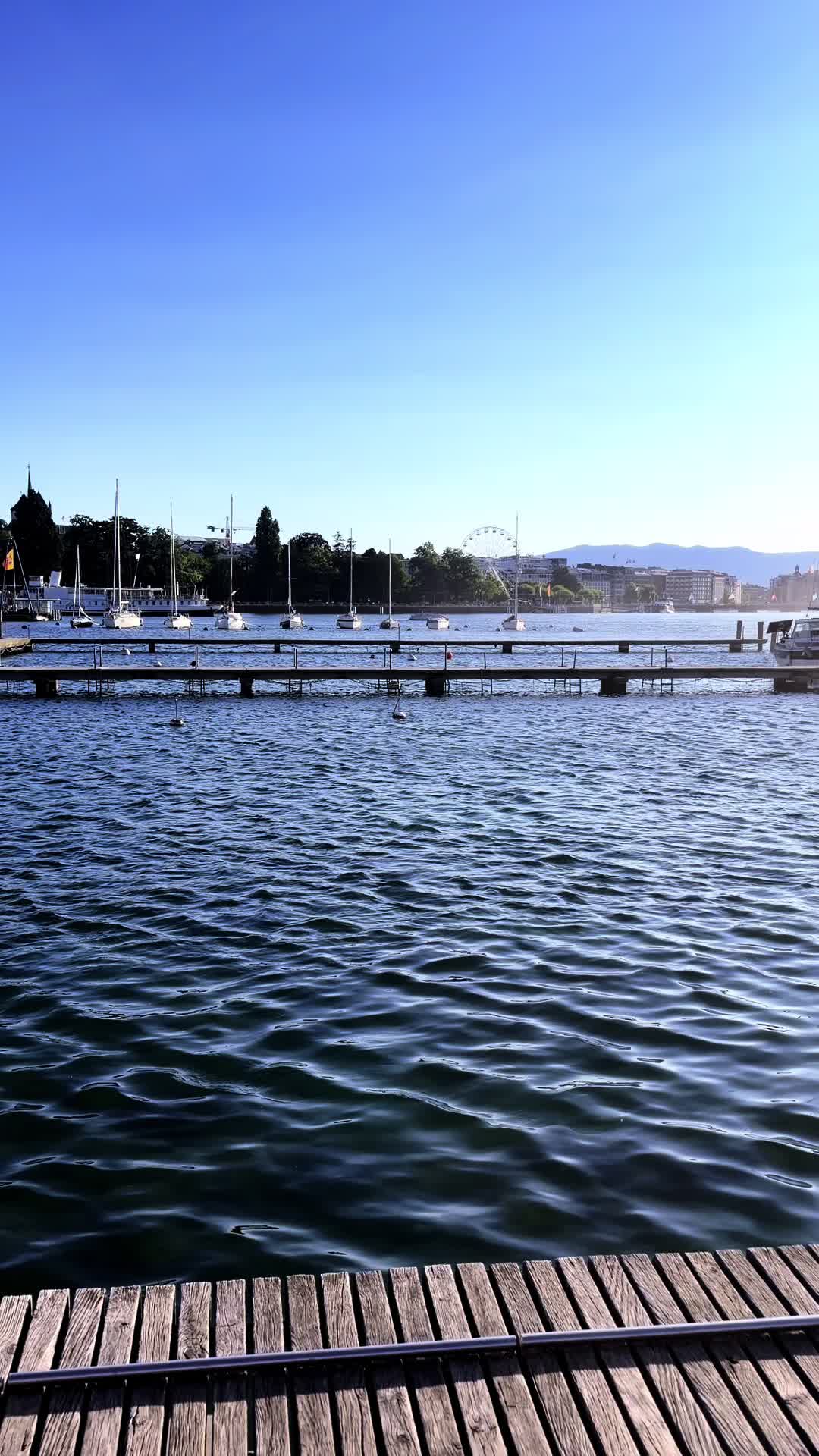 @Rhizo007🇲🇦🇨🇭