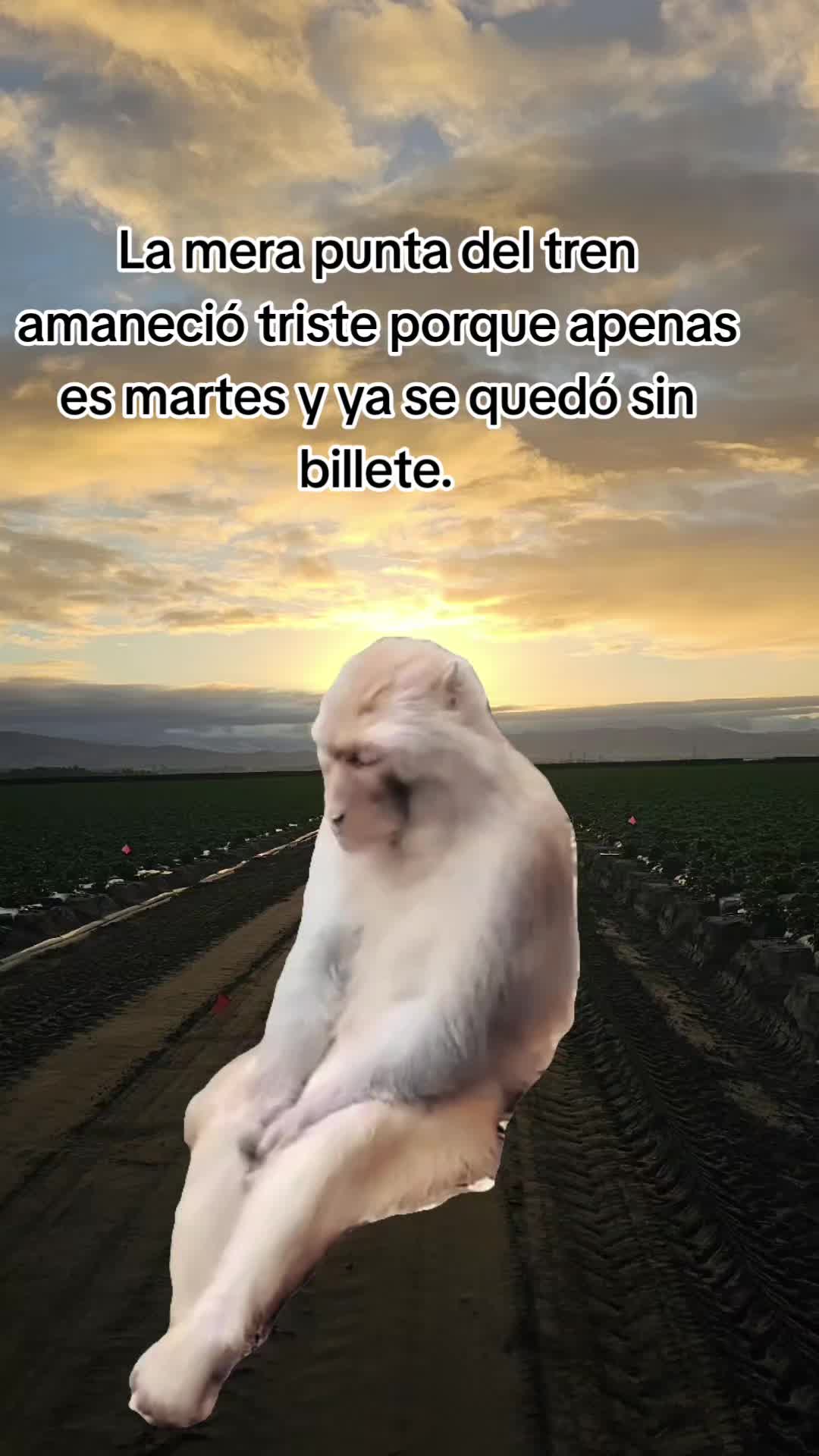 @🇲🇽🐦⬛🪺VASQUEZ🚚🌪💎