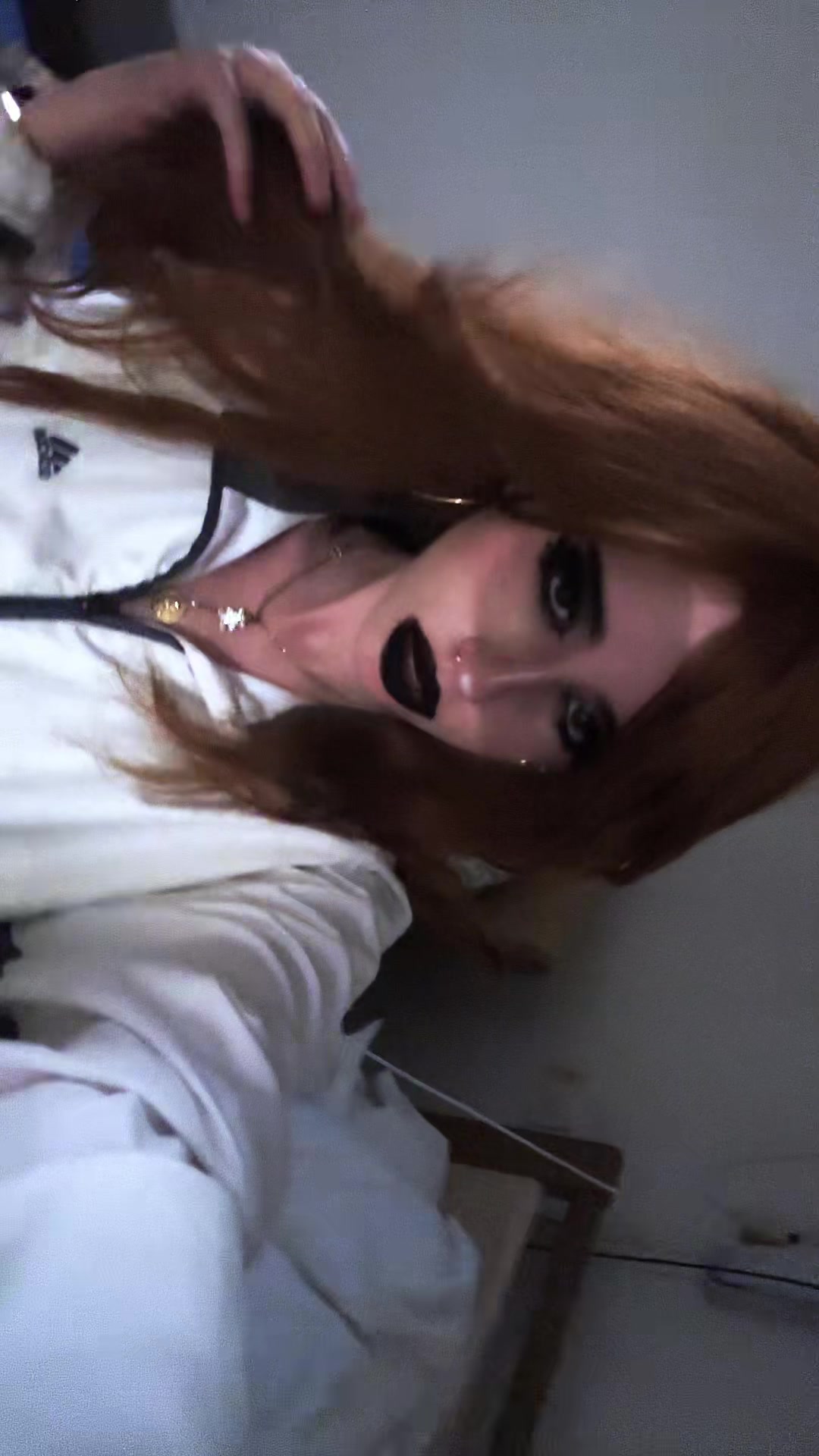 @chatdinosaure