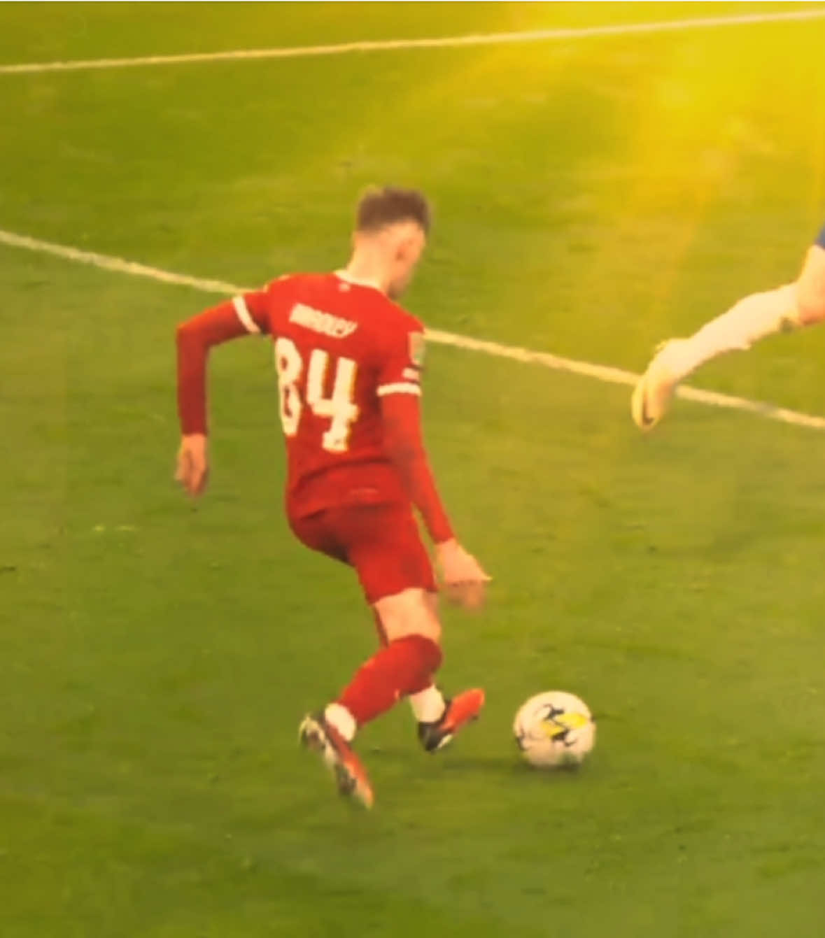 @fullyreds