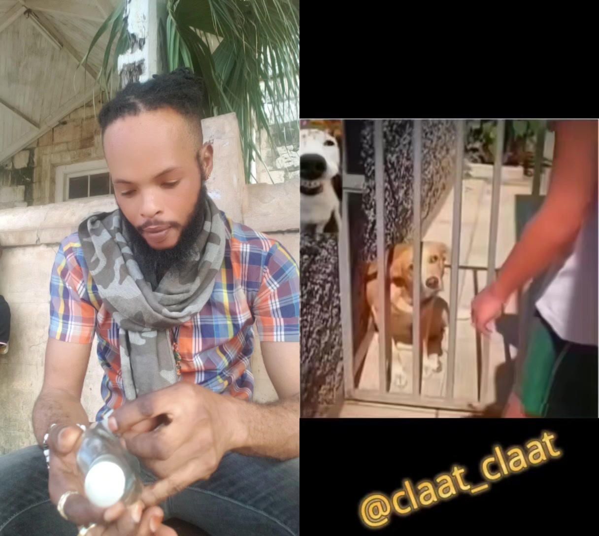@anointed_oilgad