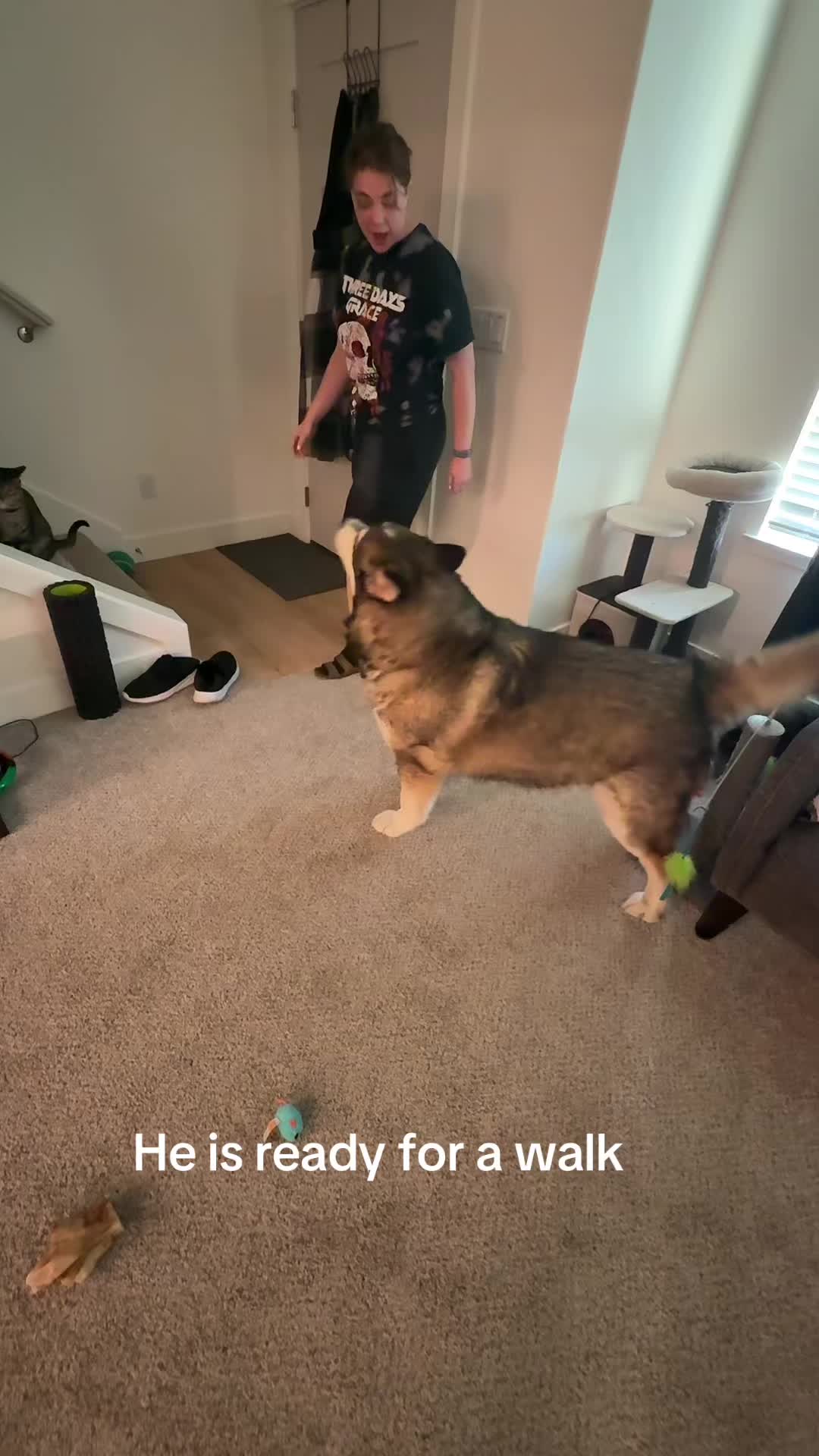 @kodi_1517