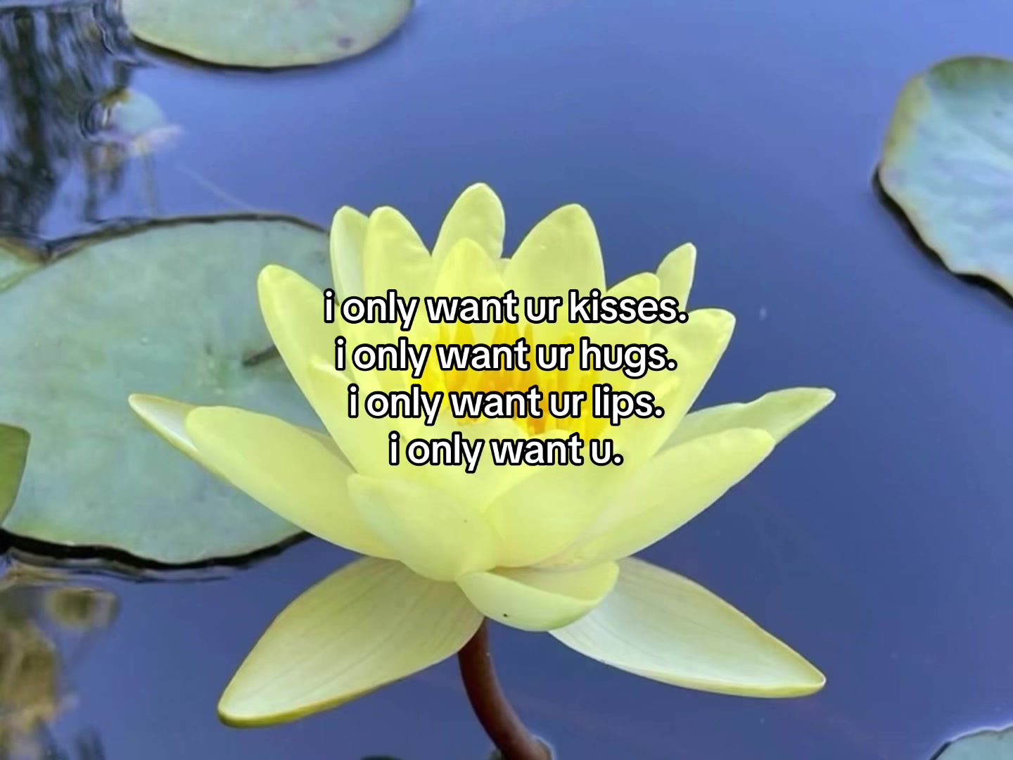 @flowercorrre