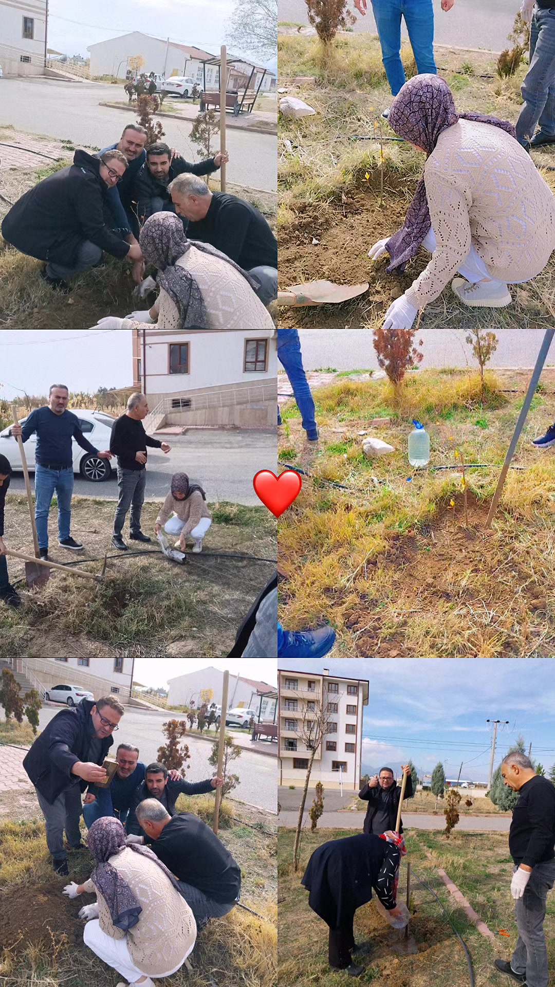 @Ayşe S🩷A