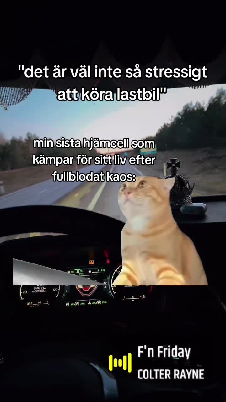 @Emelie Axelsson