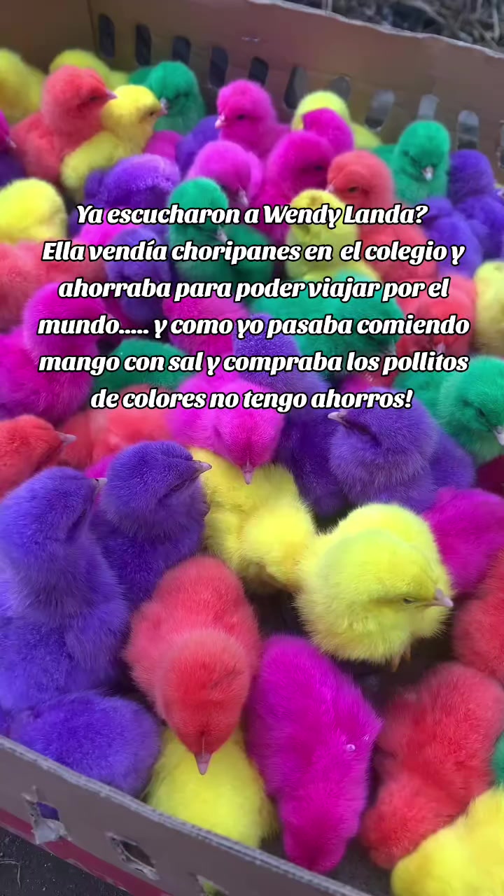 @Cindy Dávila