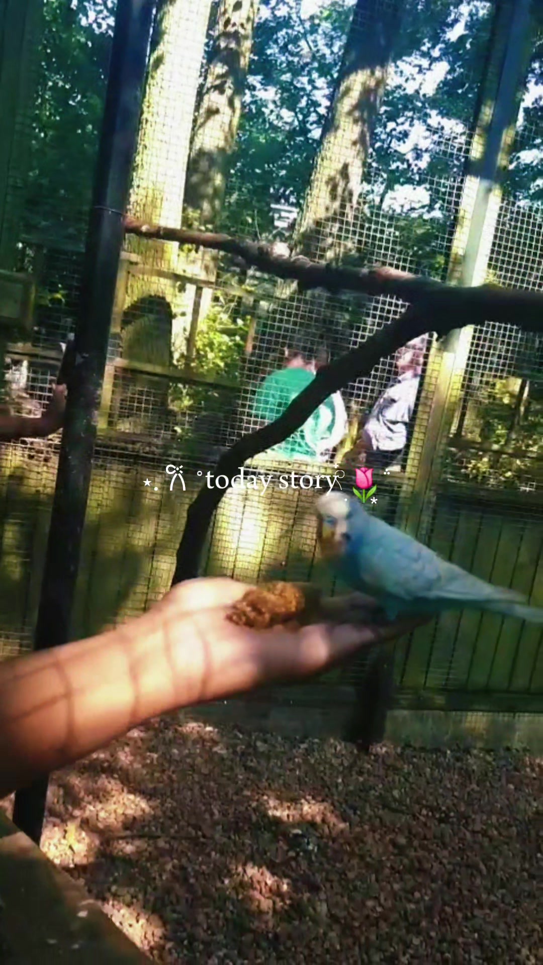 @Zakkiyya