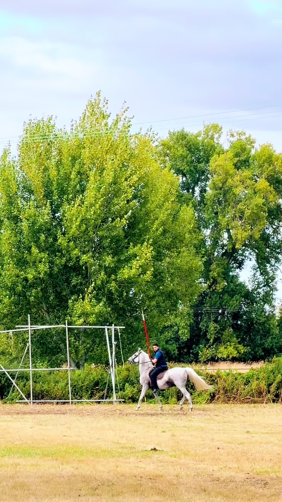 @Slough horses