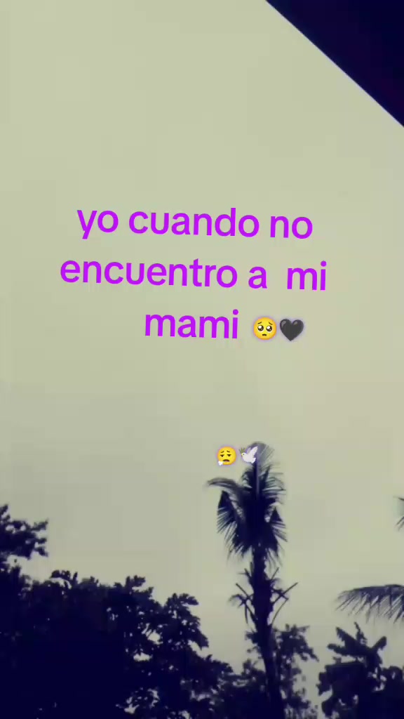 @tu ๐๐ฎ๐จ๐๏ธ princesa ๐๐ซฆ๐๏ธ