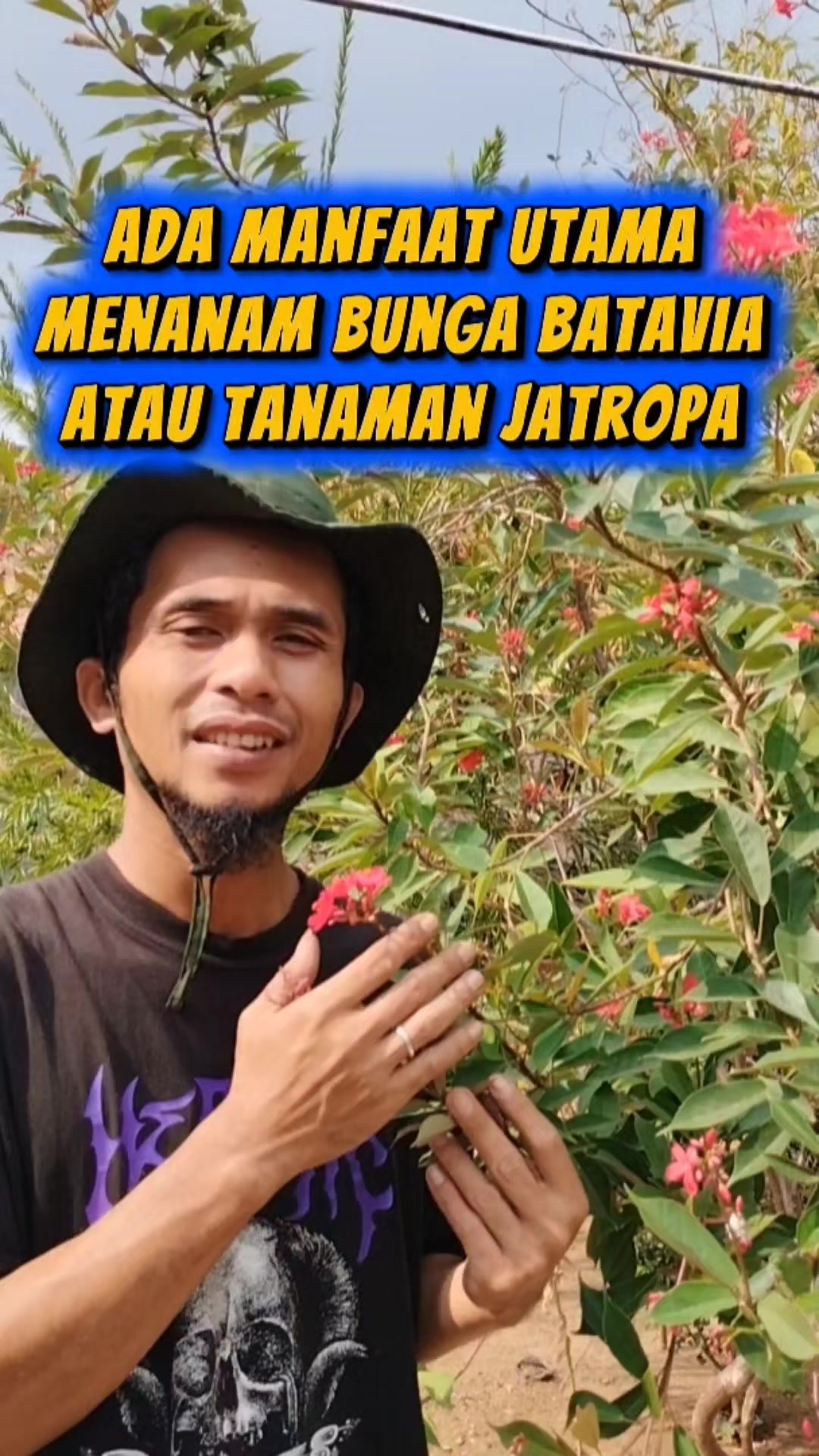 @Bukit Farming
