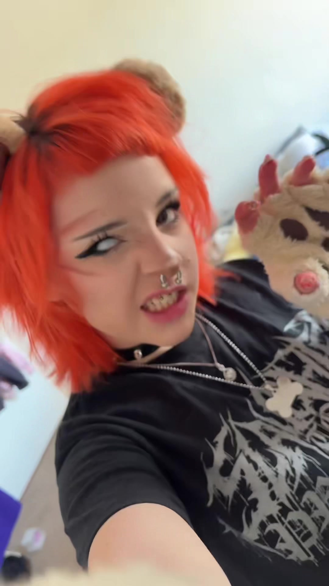 @🐾