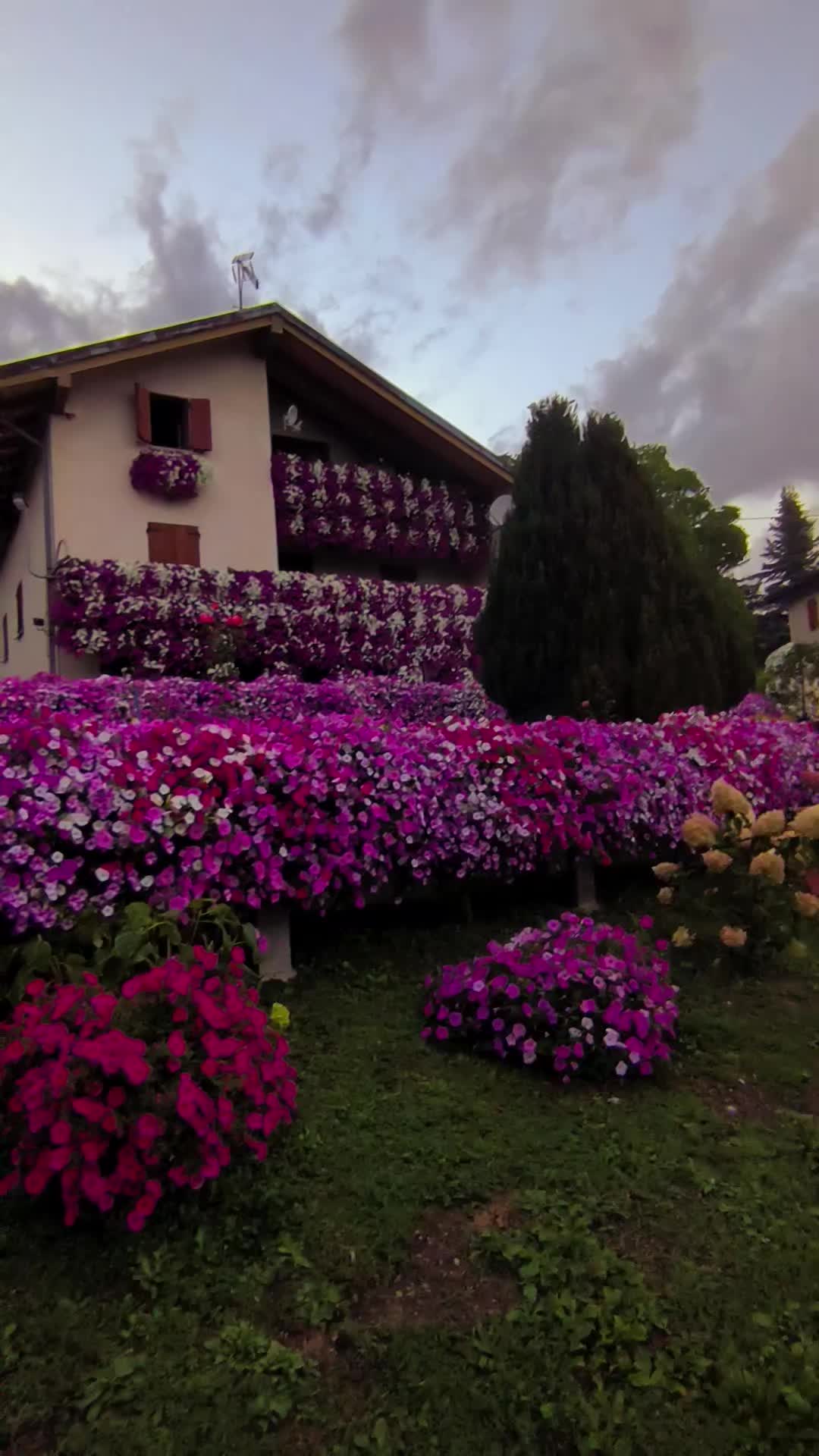 @Elena Vulpe Pilipenc