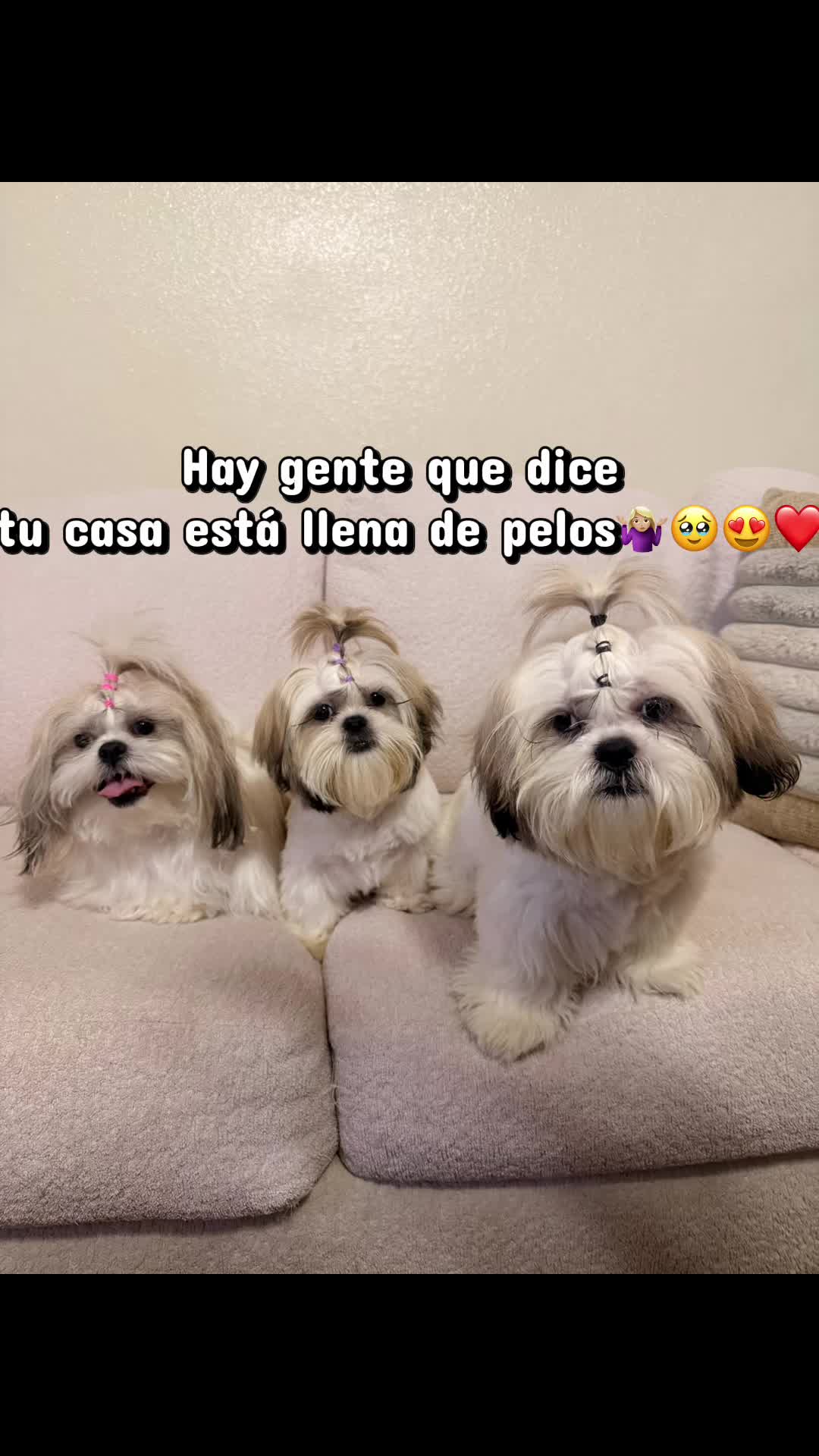 @Yurley Ortiz