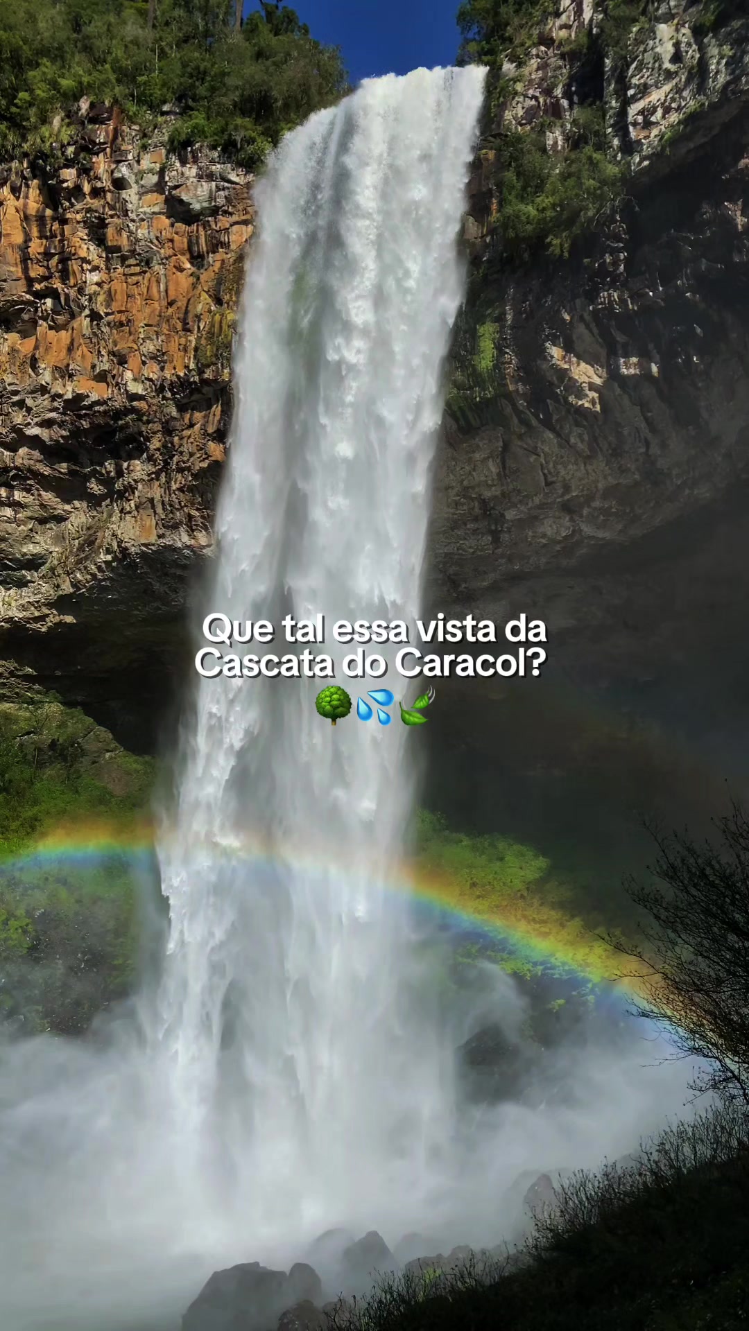 @La&ccedil;ador de Ofertas