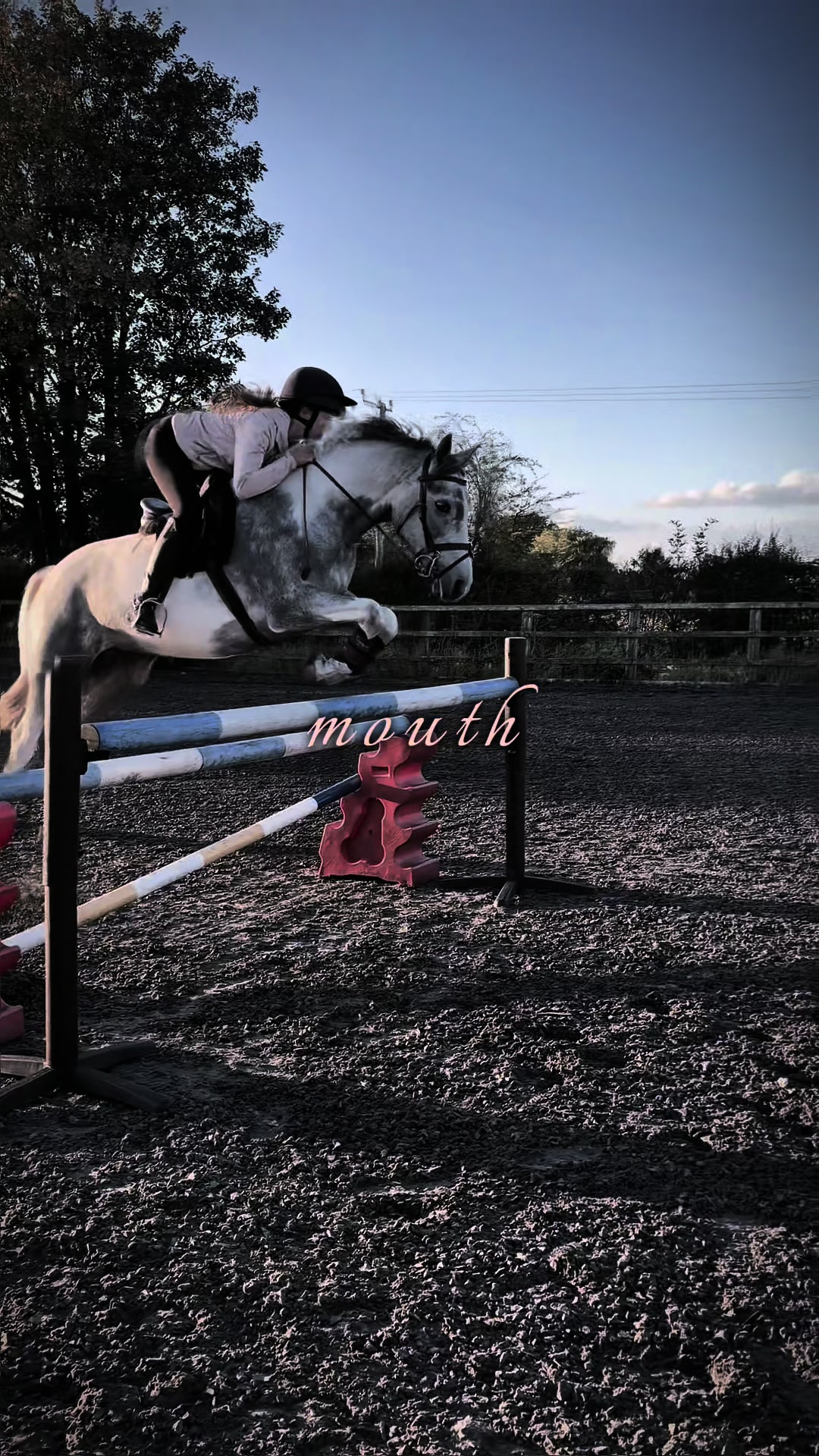 @🐎🤭