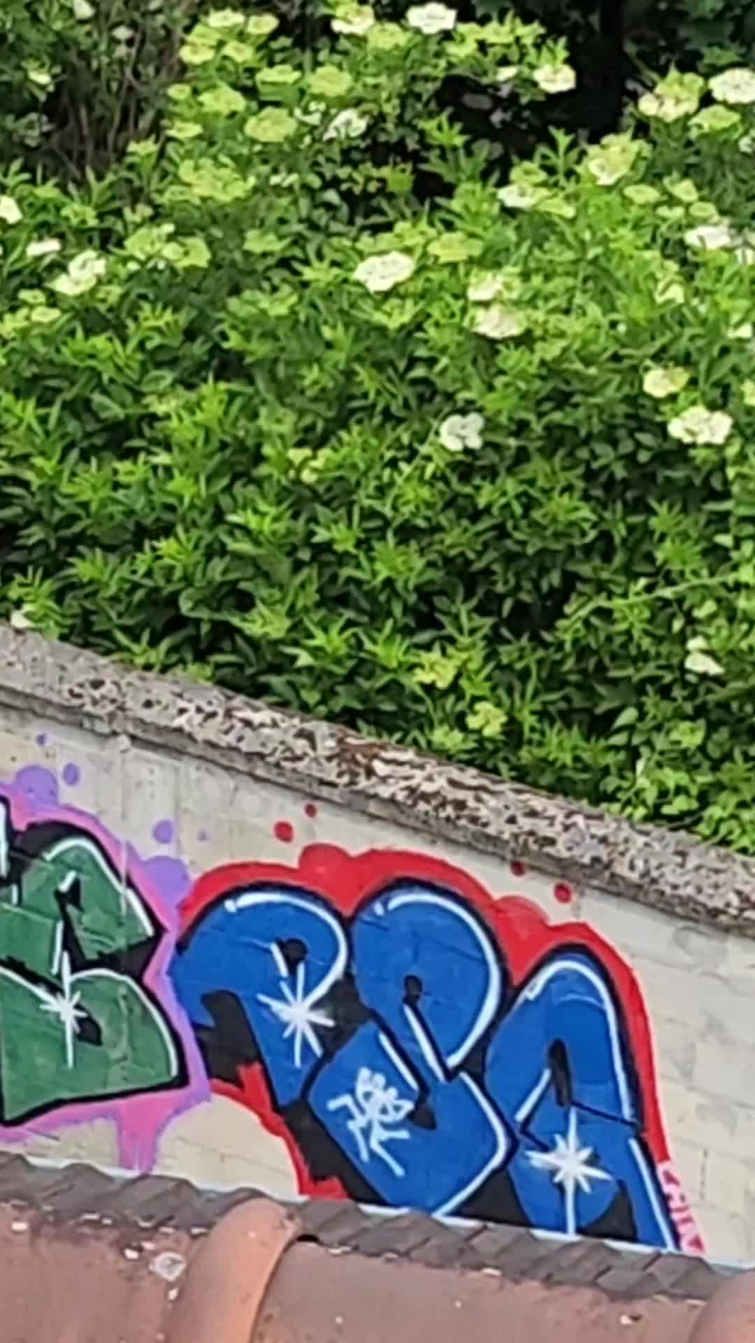 @walasmontfort