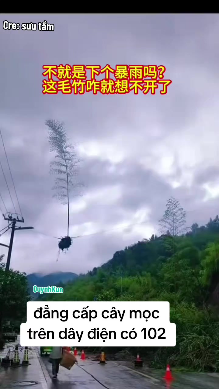 @QuynhKun