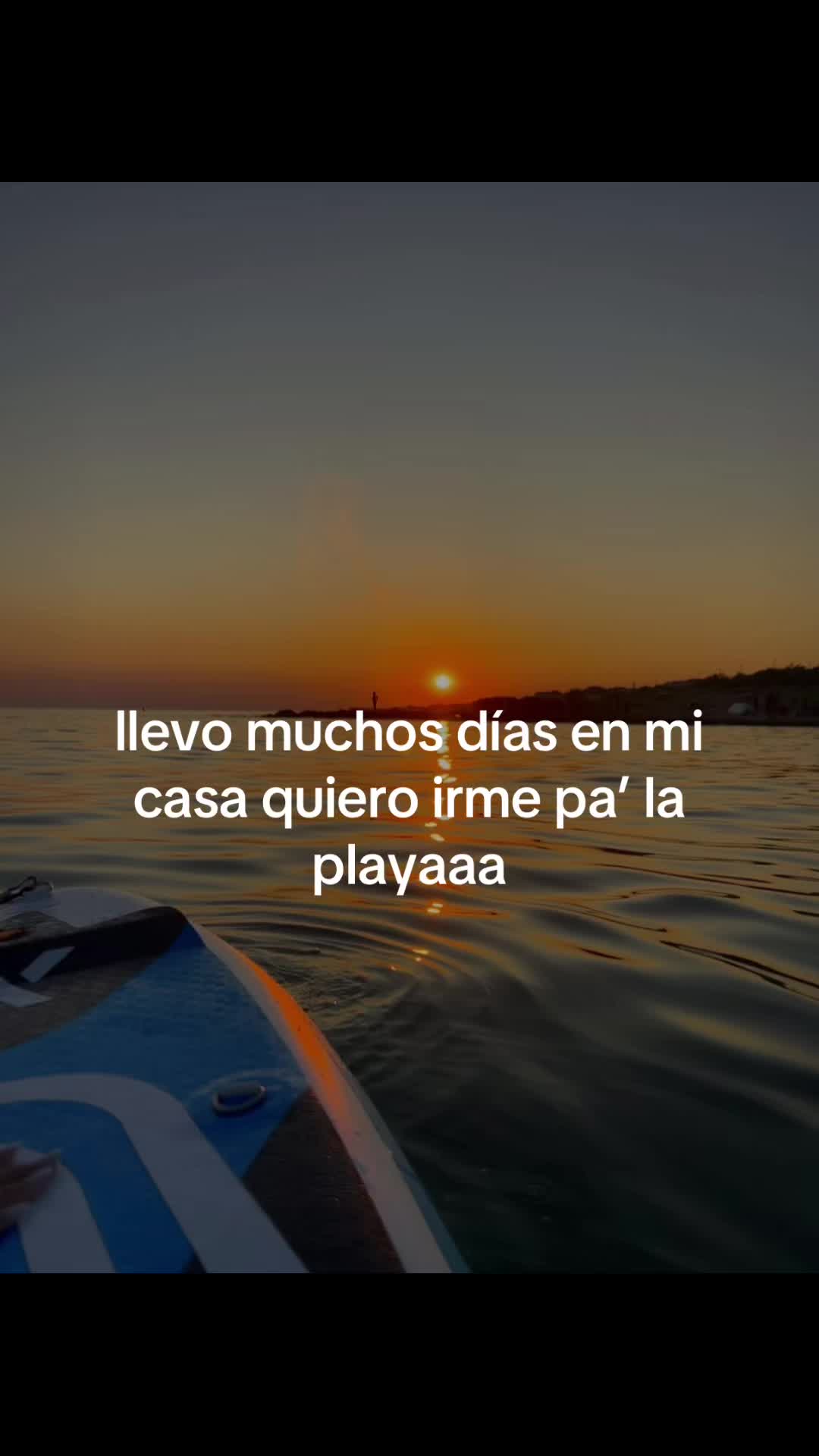 @lav