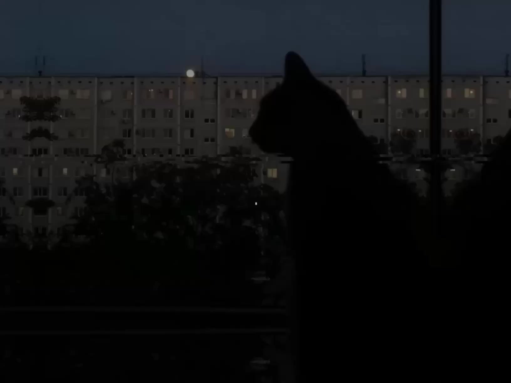 @треки для липсингов