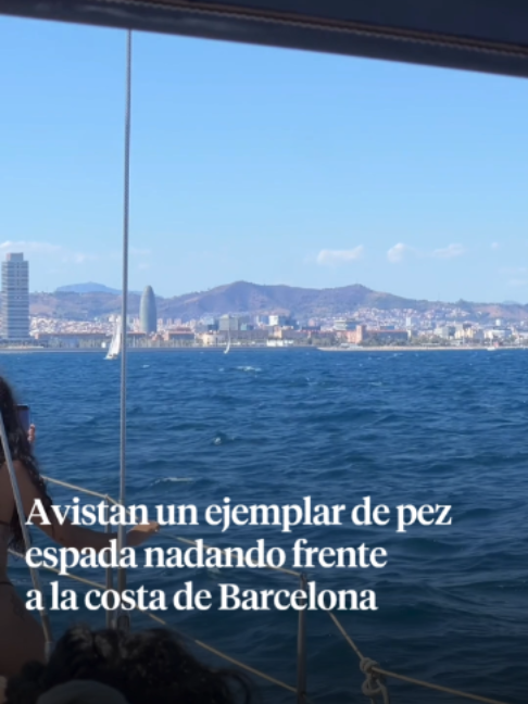 @La Vanguardia 🗞