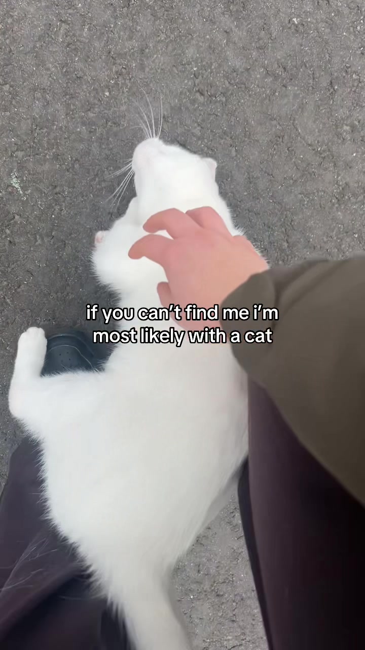 @lily