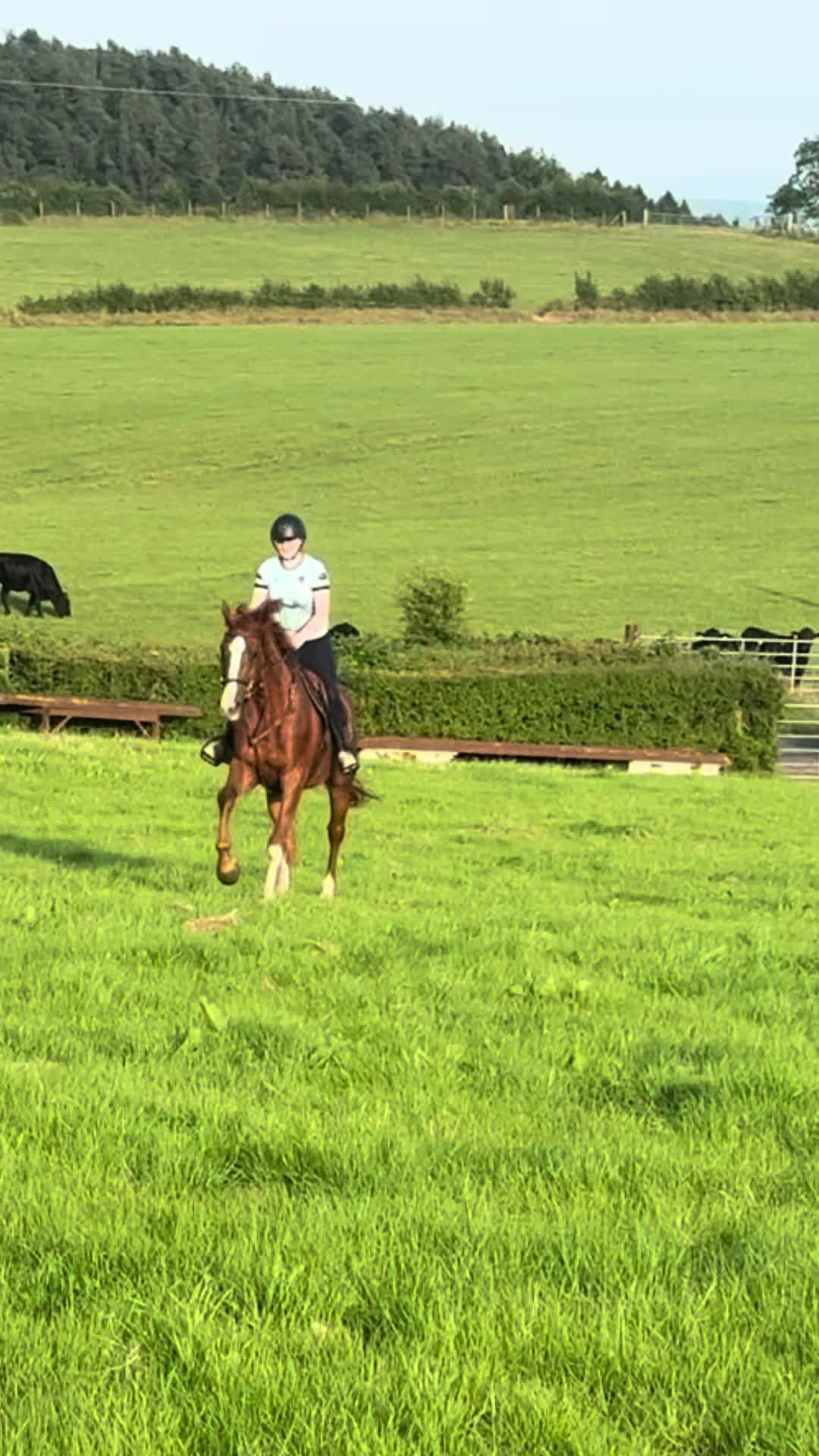 @🤍🐎Eloise🐎🤍
