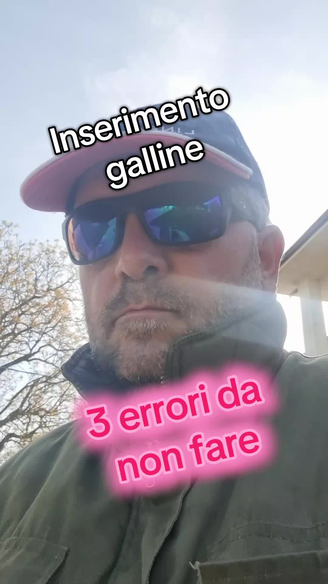 @Il leone e la gallina