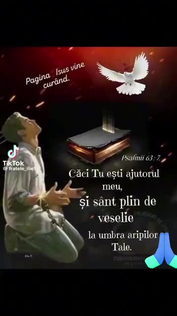 @Elena