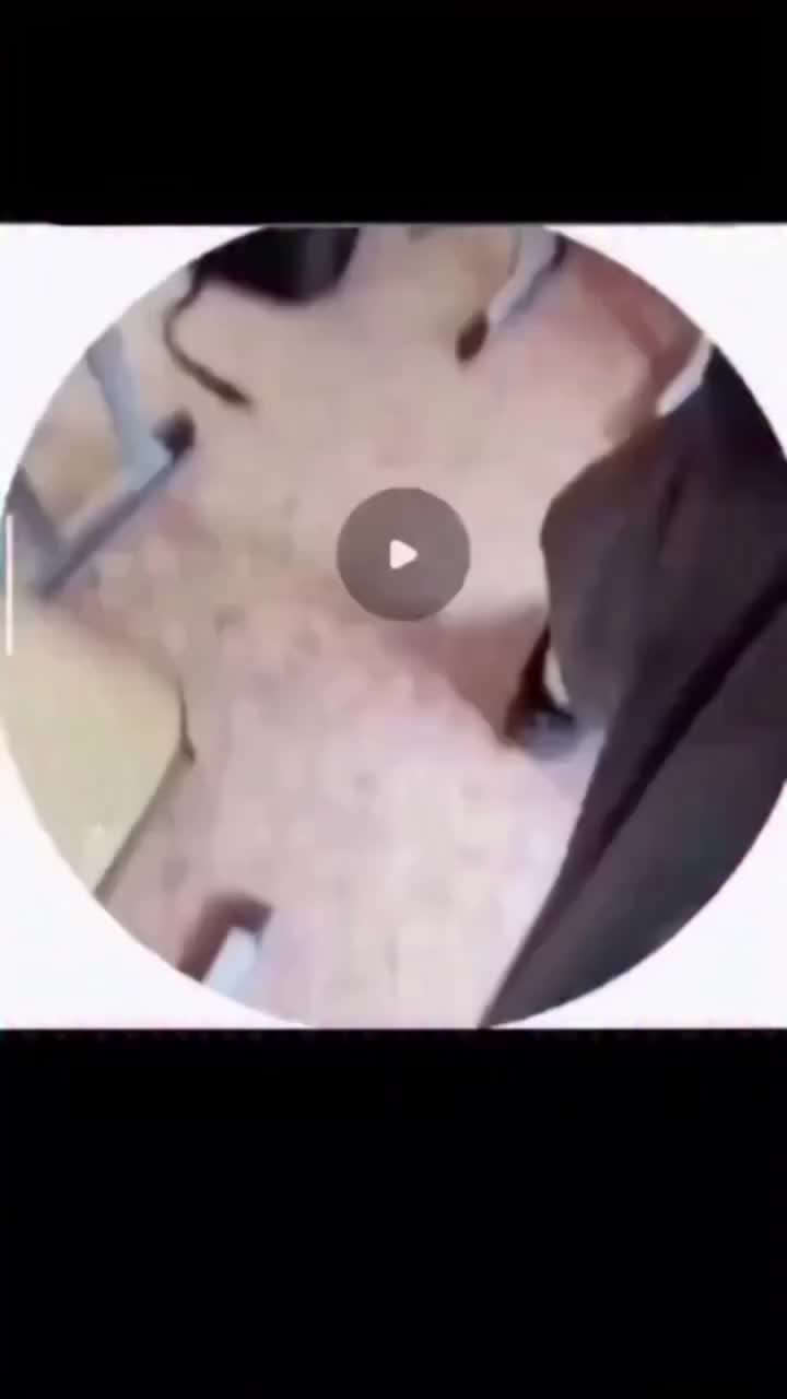 @_Bibo_