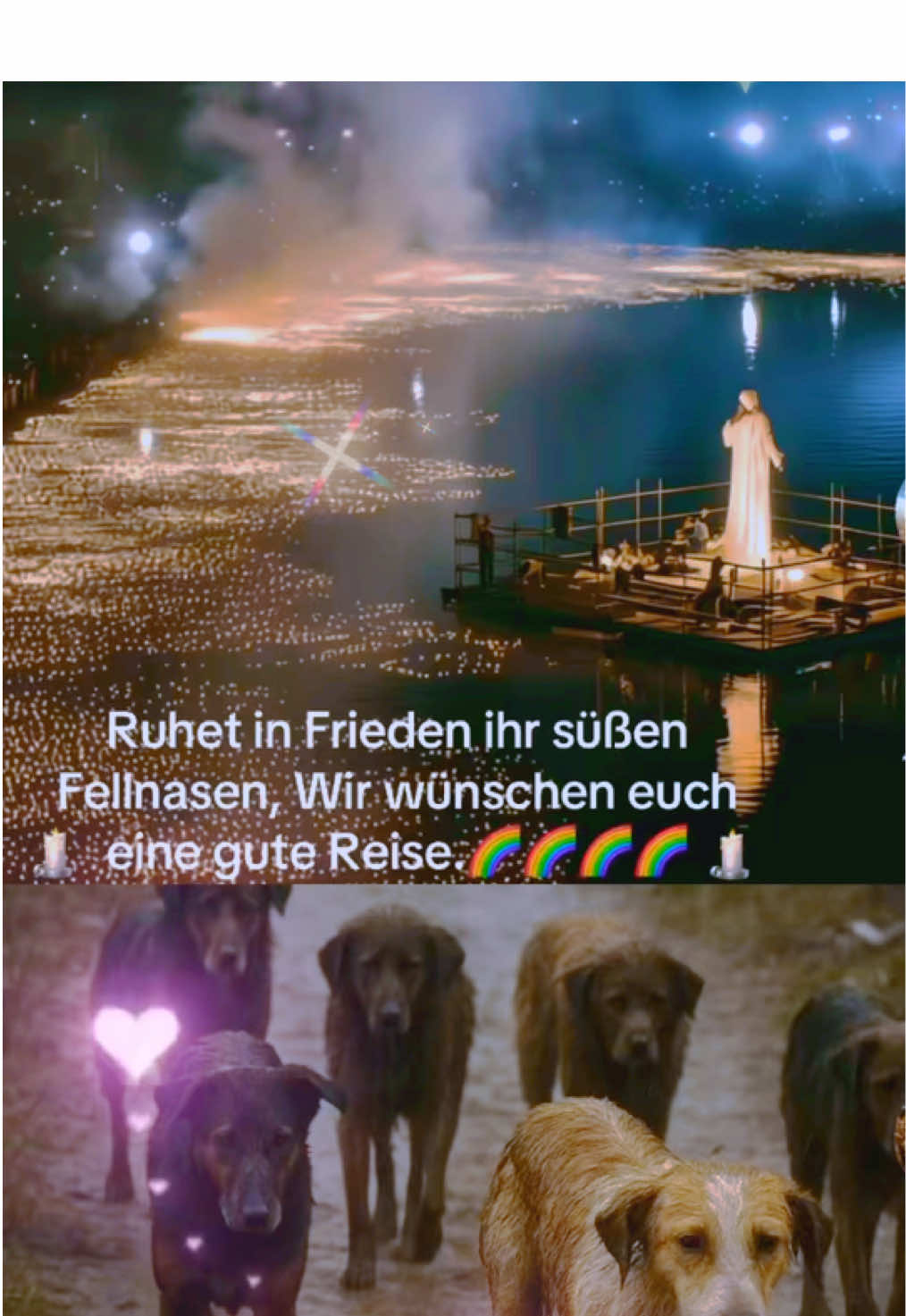 @Lua Team🐈🐕&zwj;🦺L&ouml;wenherz❤️🦁