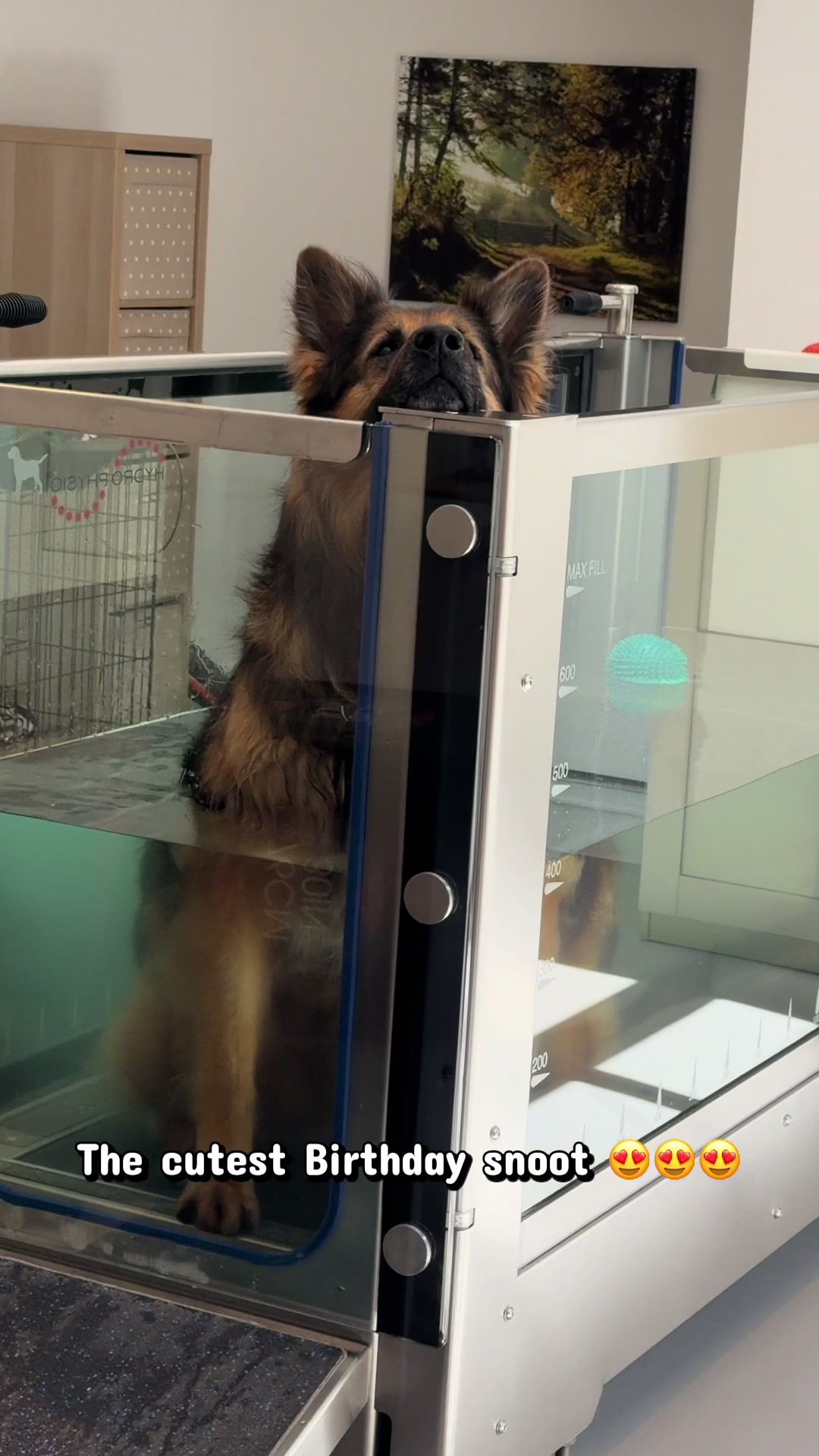 @TheGSDhubwithjennygould